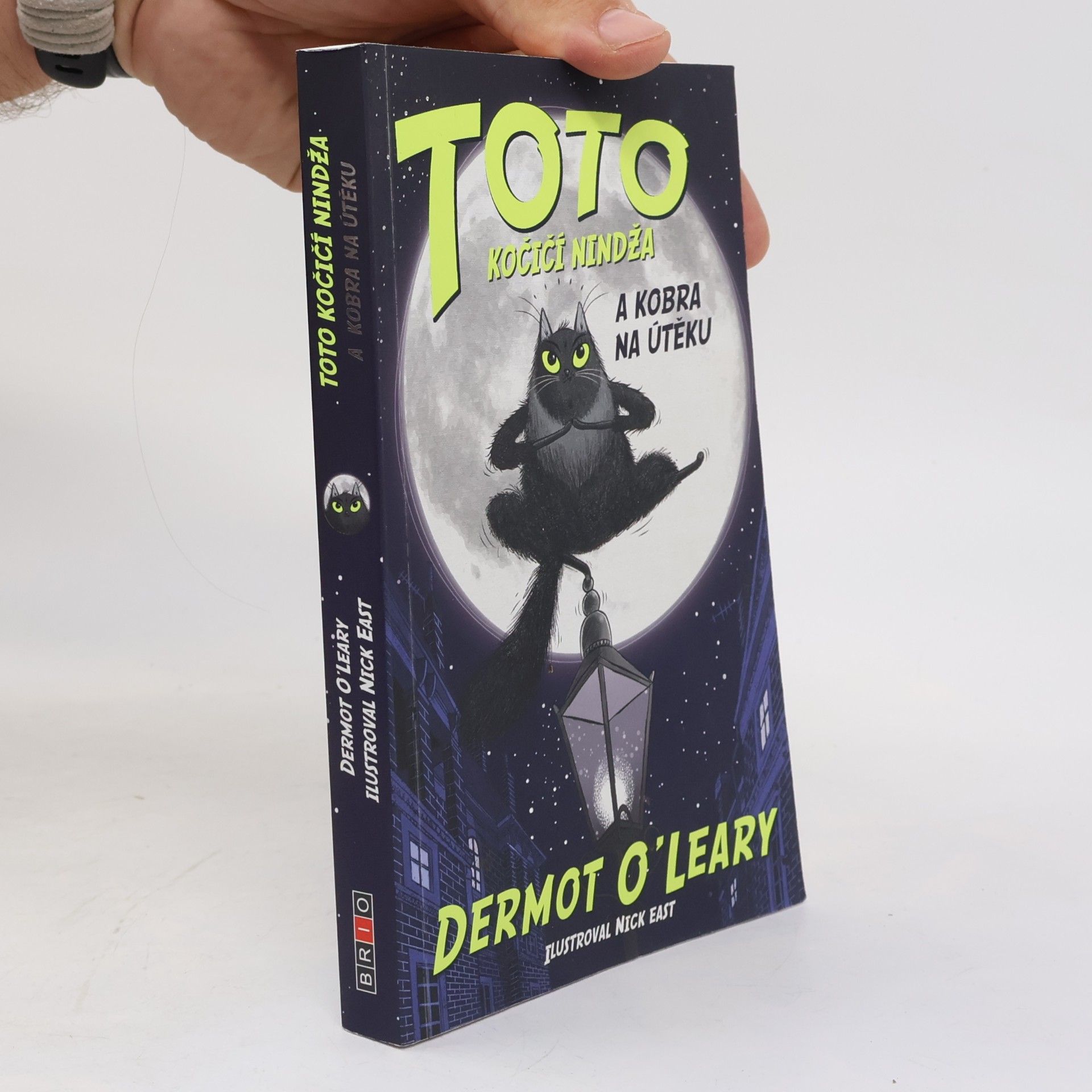 Dermot O\'Leary Toto kočičí nindža a kobra na útěku