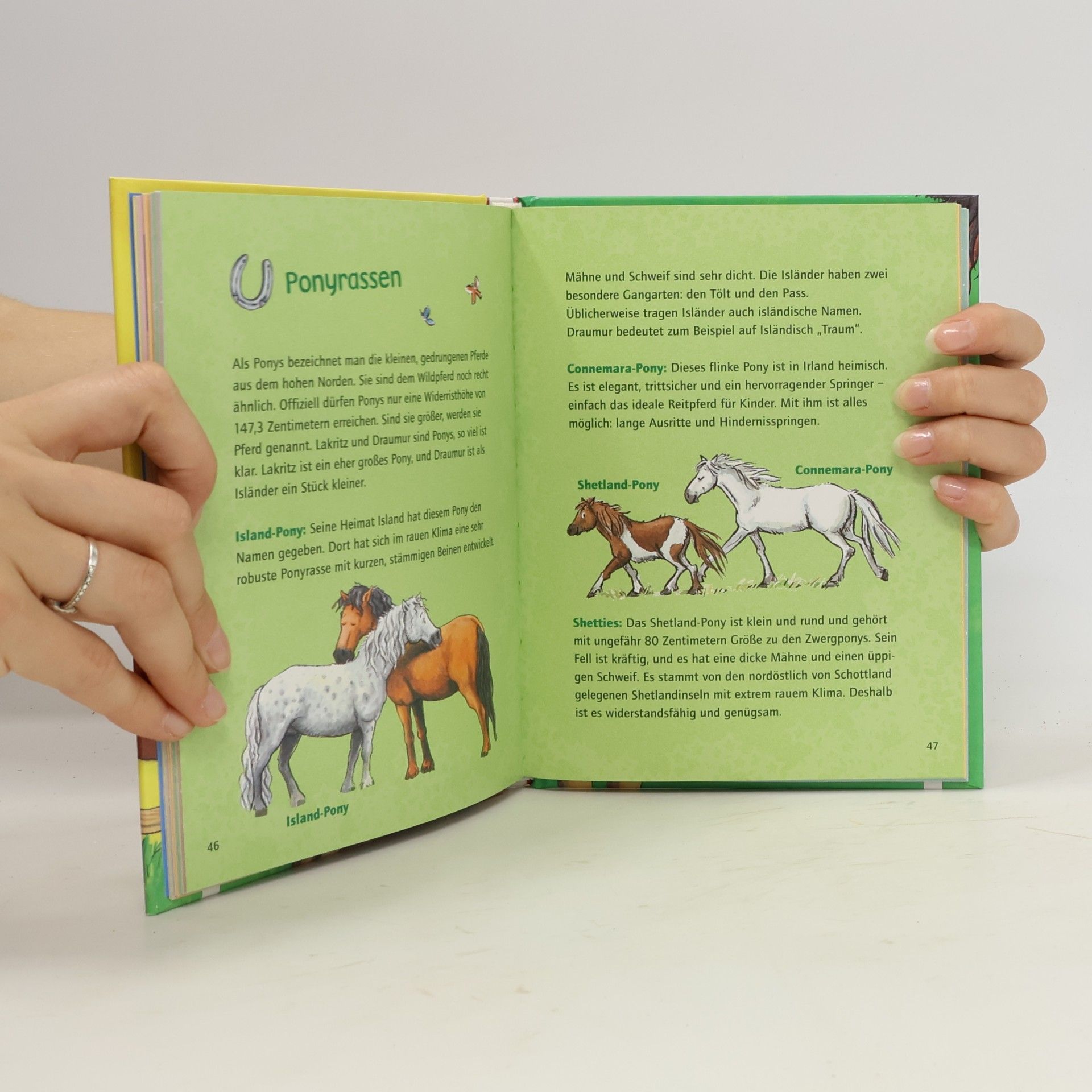 Julia W. Boehm Mein Lou-und-Lakritz-Ponytagebuch