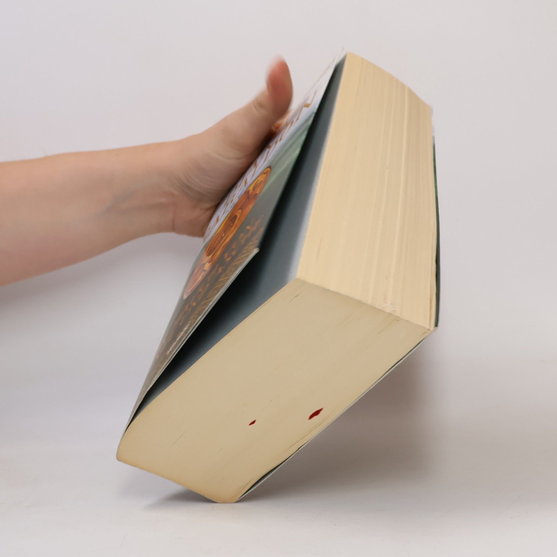 Diana Gabaldon Ein Hauch von Schnee und Asche