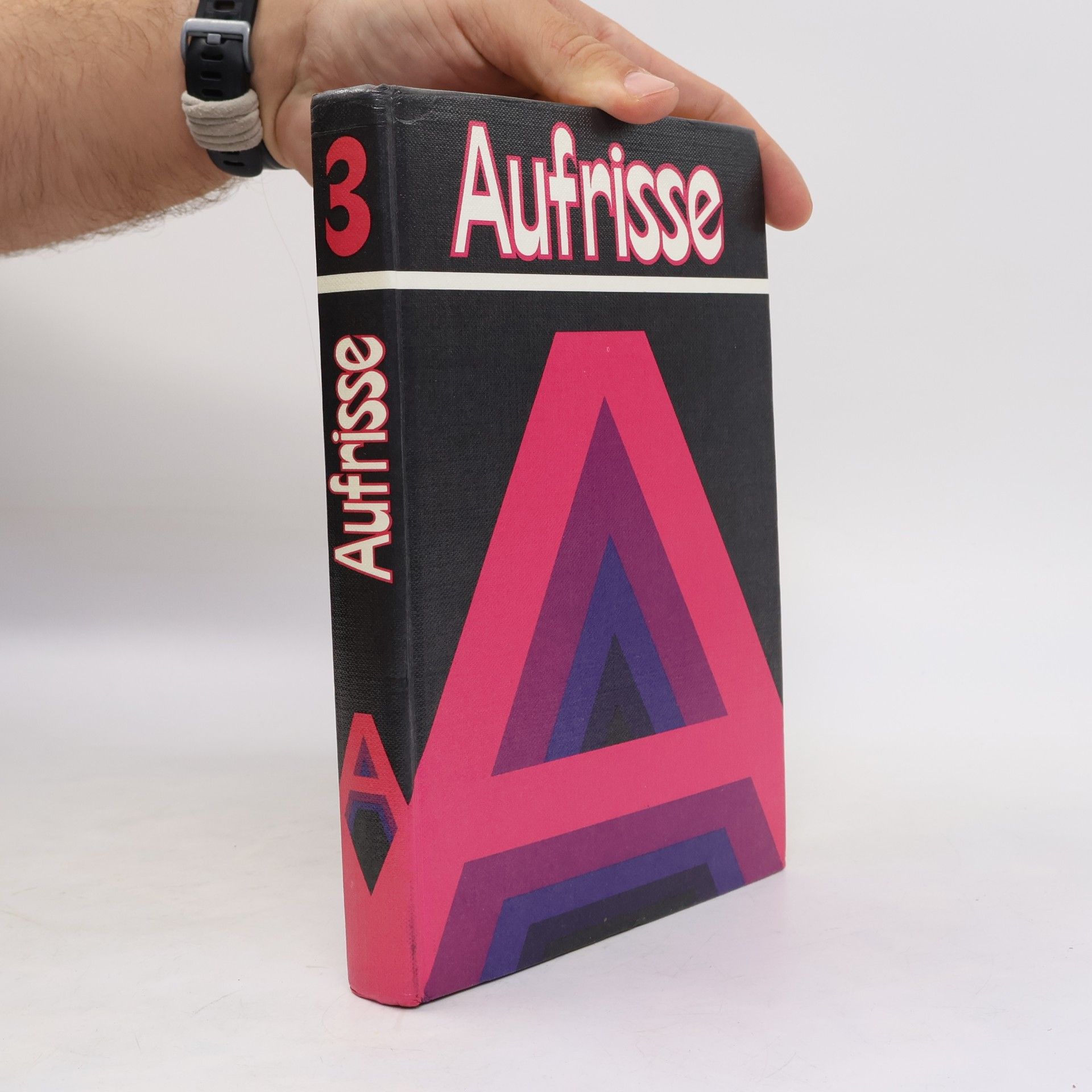 Kolektiv autorů Aufrisse