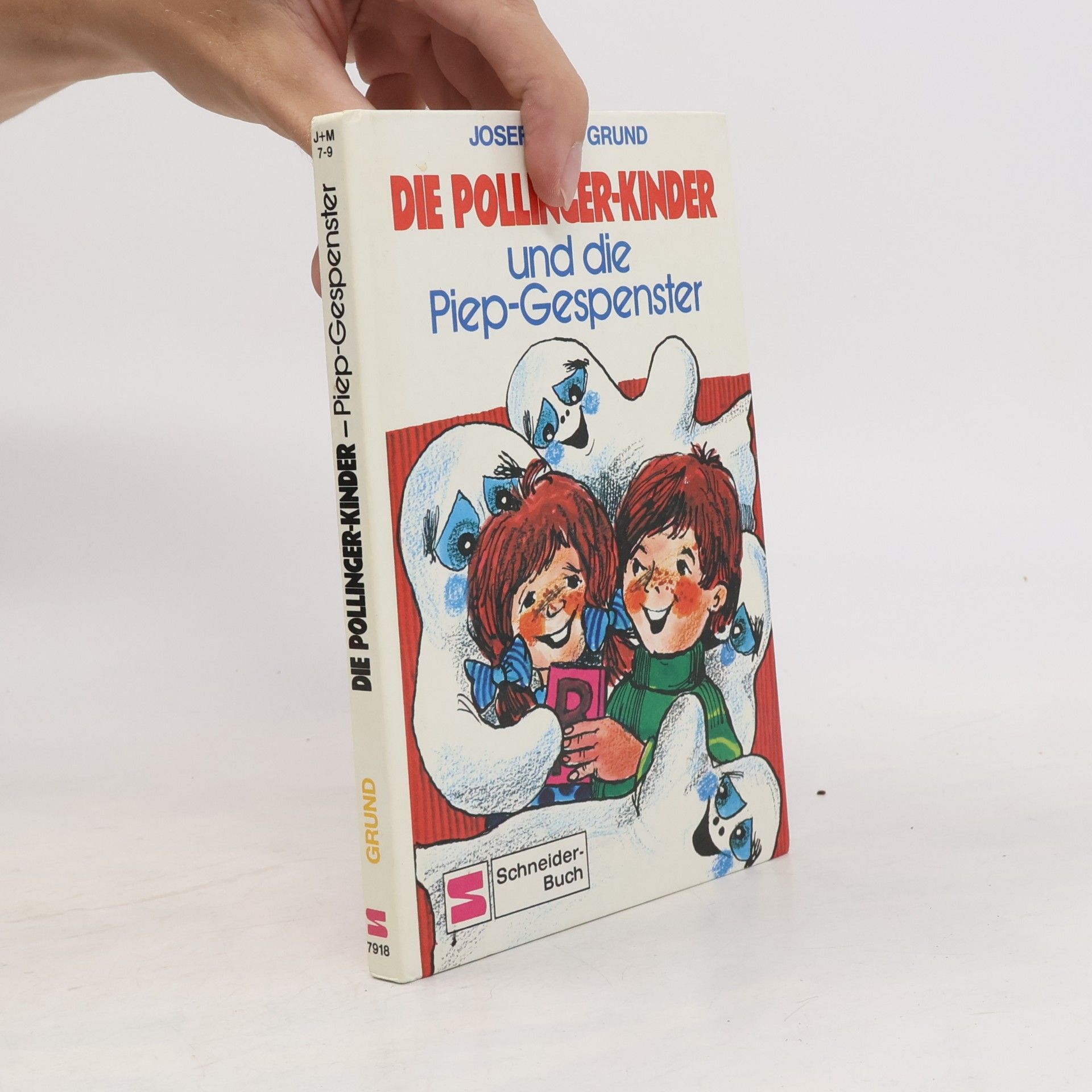 Die Pollinger-Kinder und die Piep-Gespenster