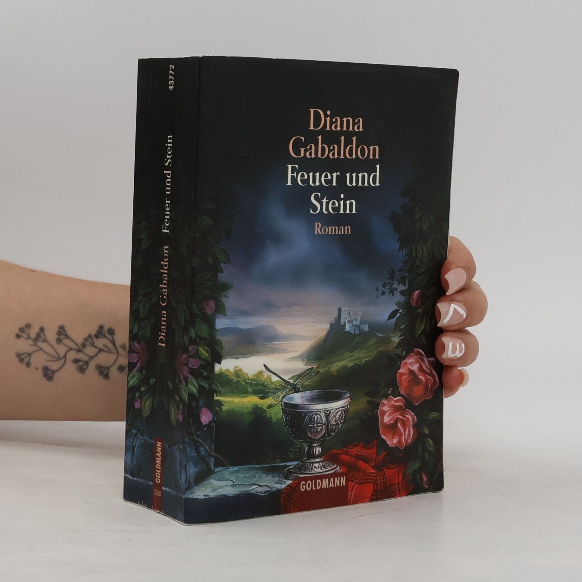Diana Gabaldon Feuer und Stein