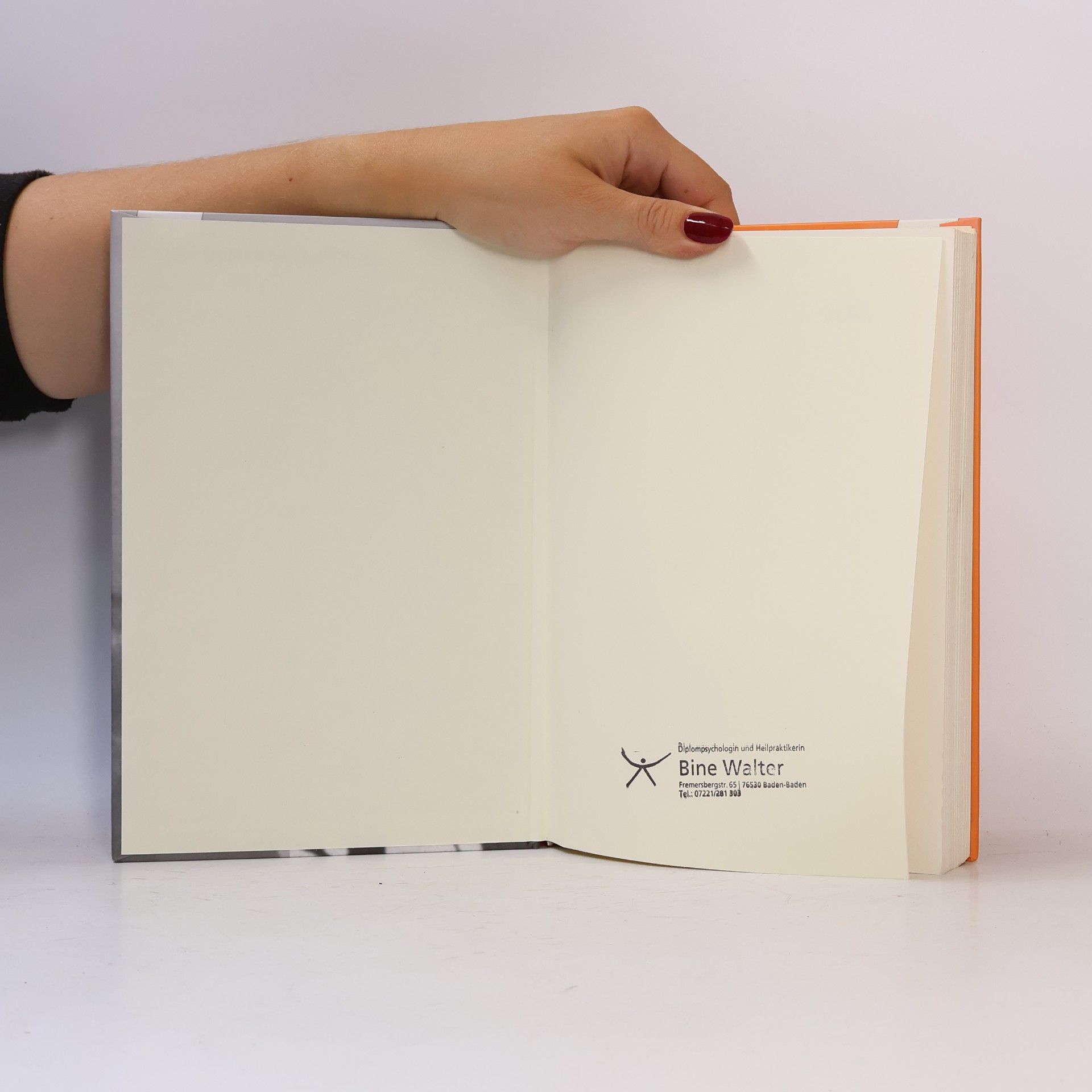 Jörg Riemeyer Die Logotherapie Viktor Frankls
