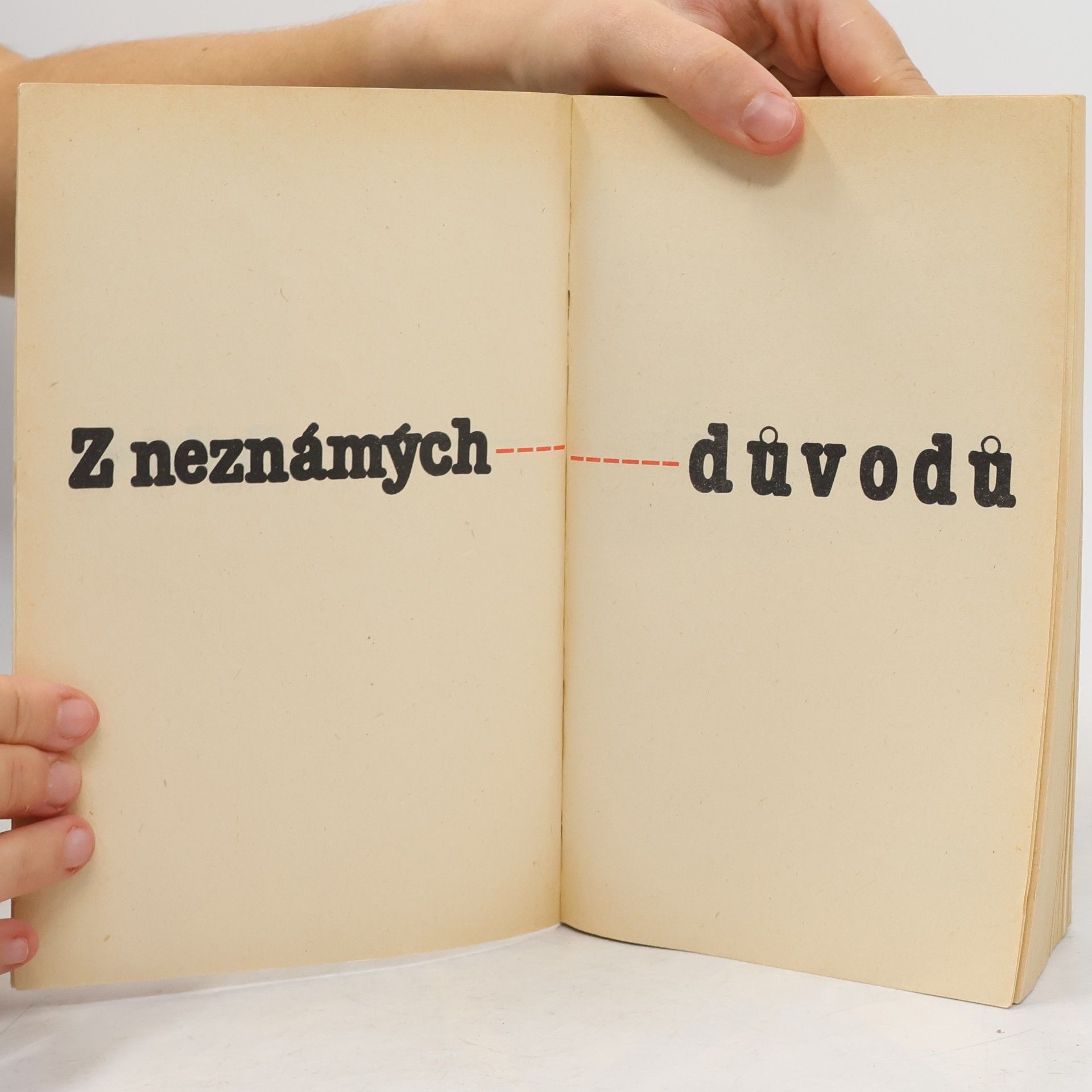 Zdena Frýbová Z neznámých důvodů