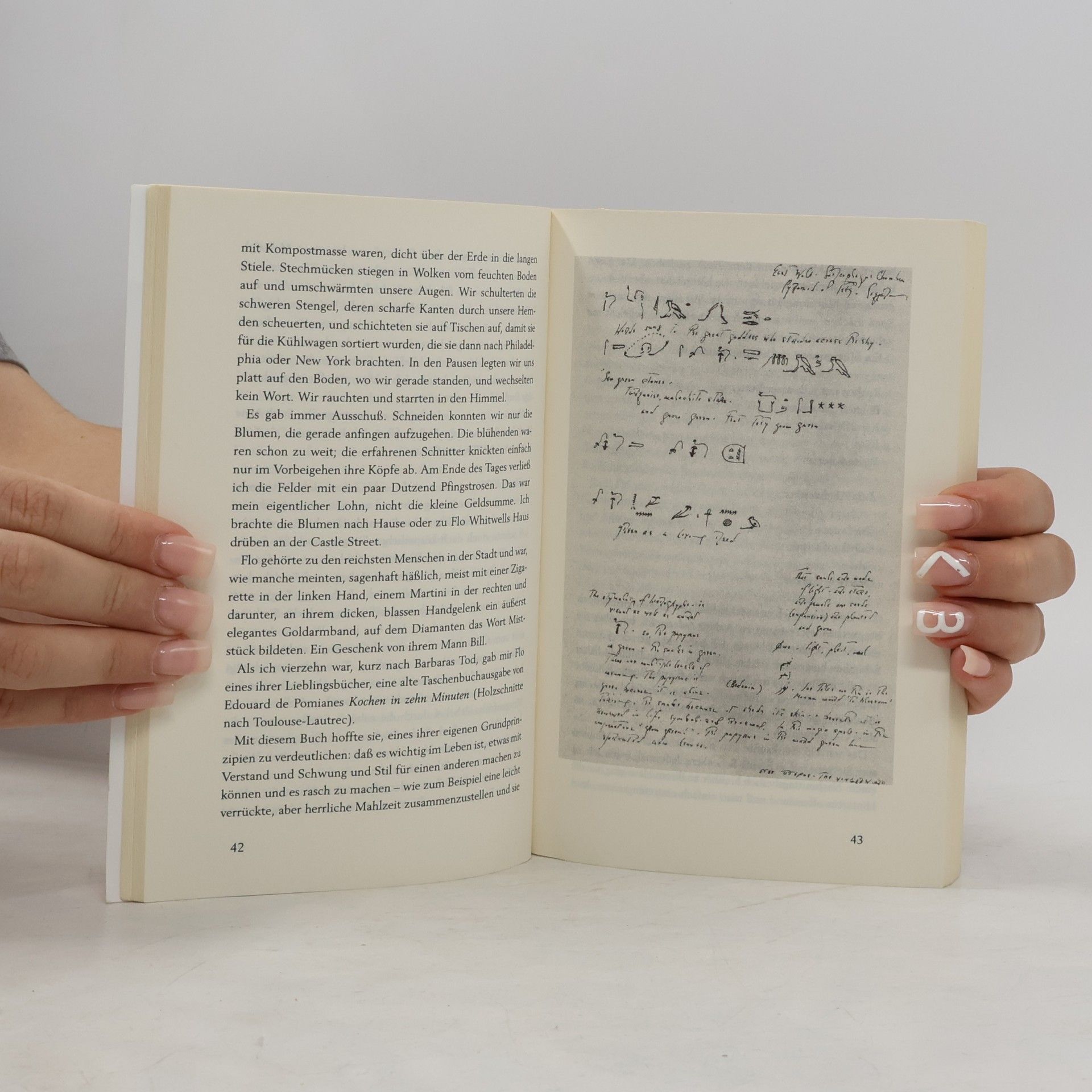 Susan Brind Morrow Die Namen der Dinge