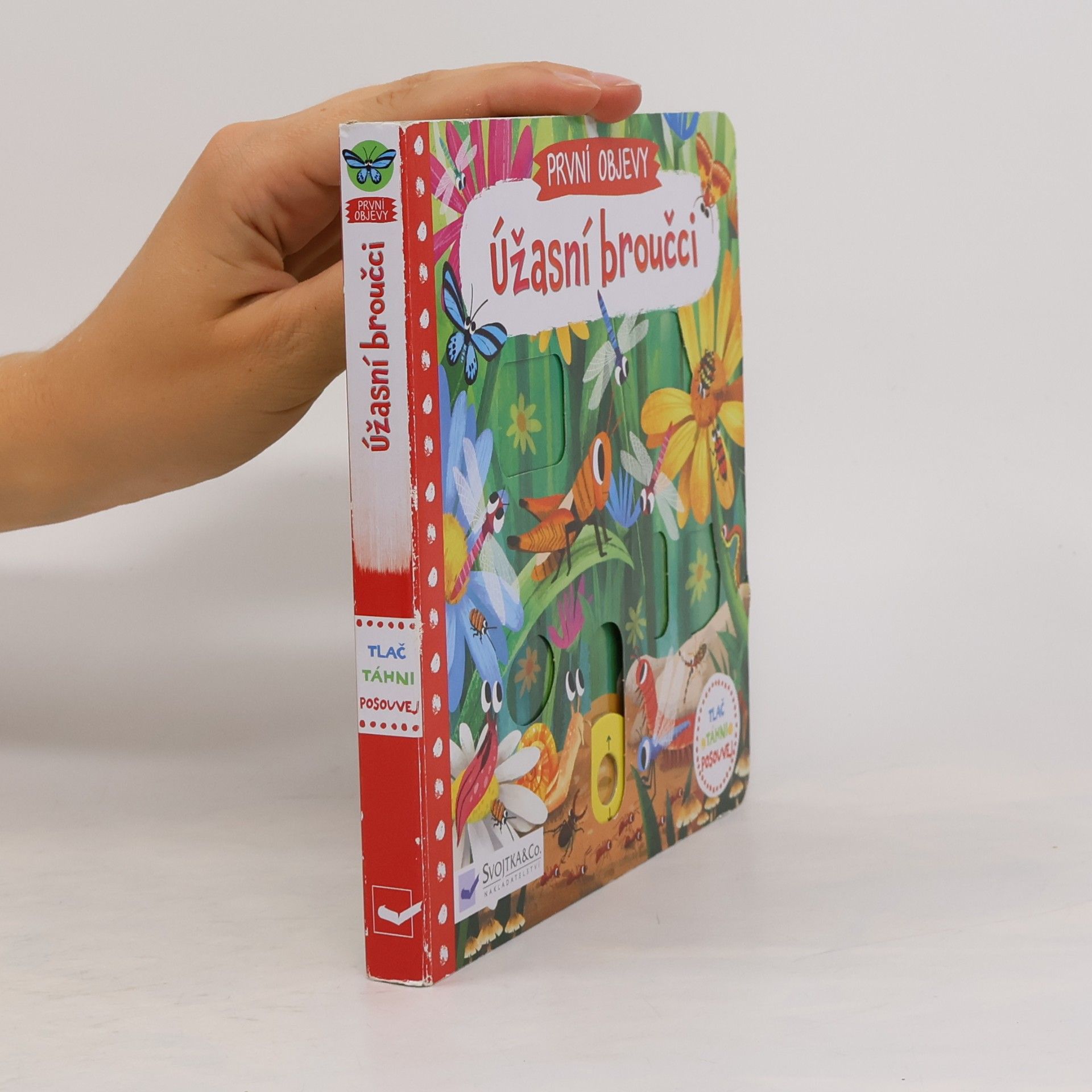 Jenny Wren První objevy: Úžasní broučci