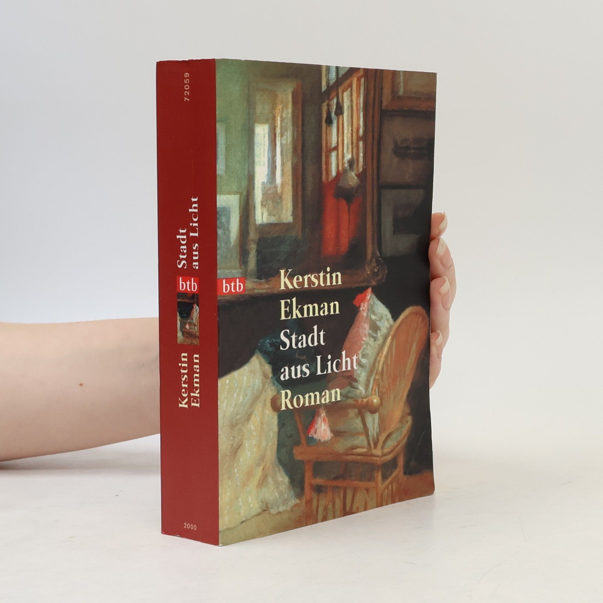 Kerstin Ekman Stadt aus Licht
