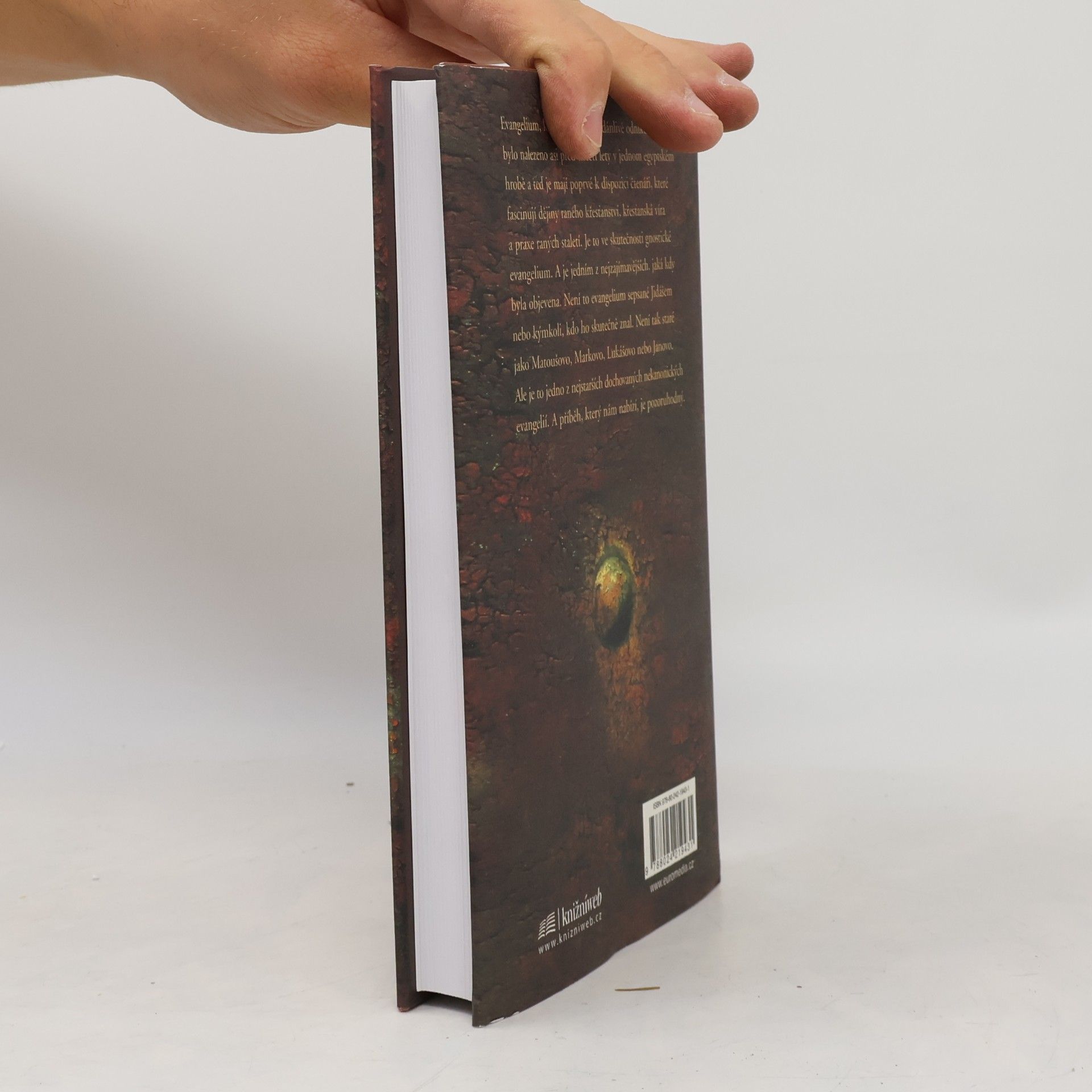 Bart D. Ehrman Ztracené evangelium Jidáše Iškariotského