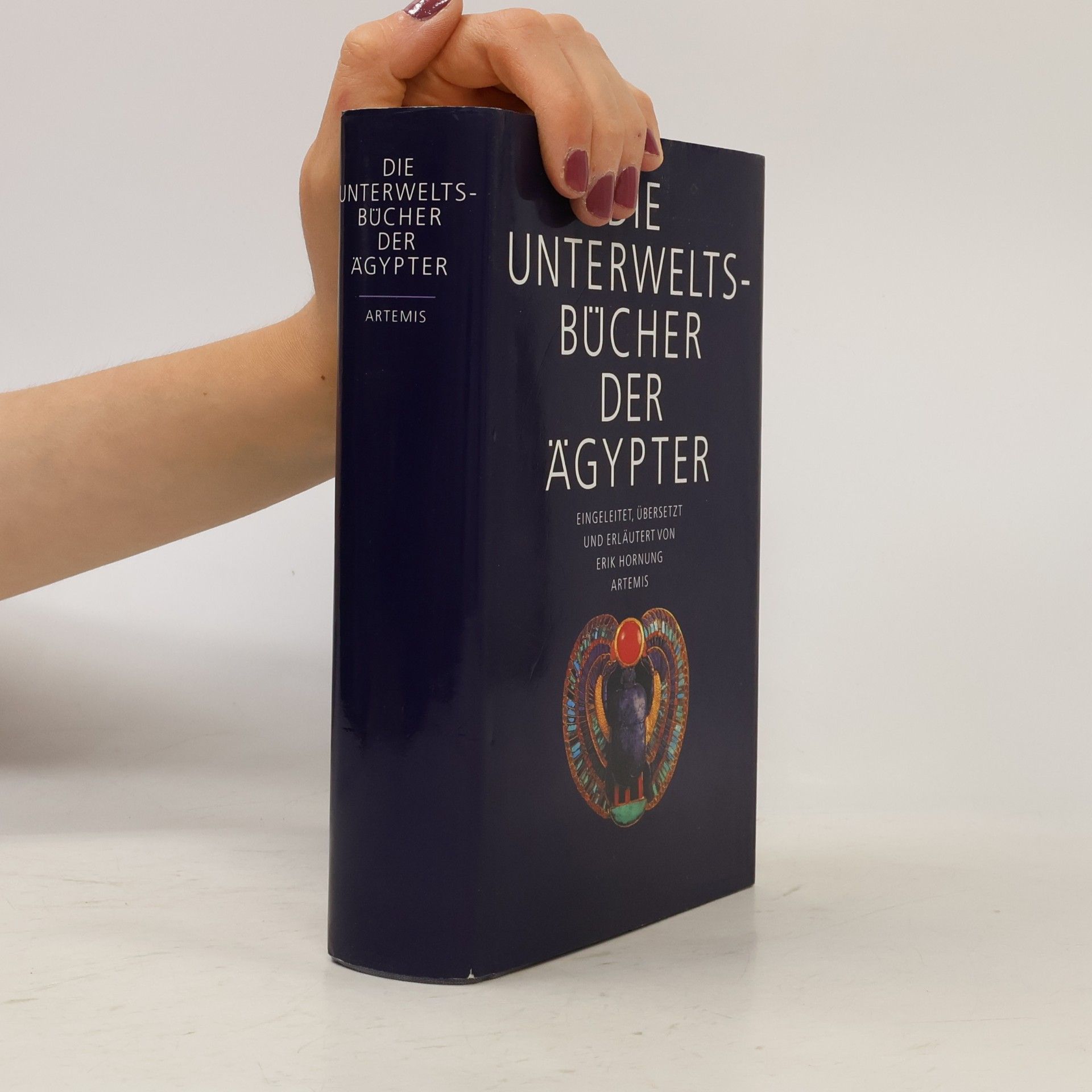 Erik Hornung Die Unterweltsbücher der Ägypter
