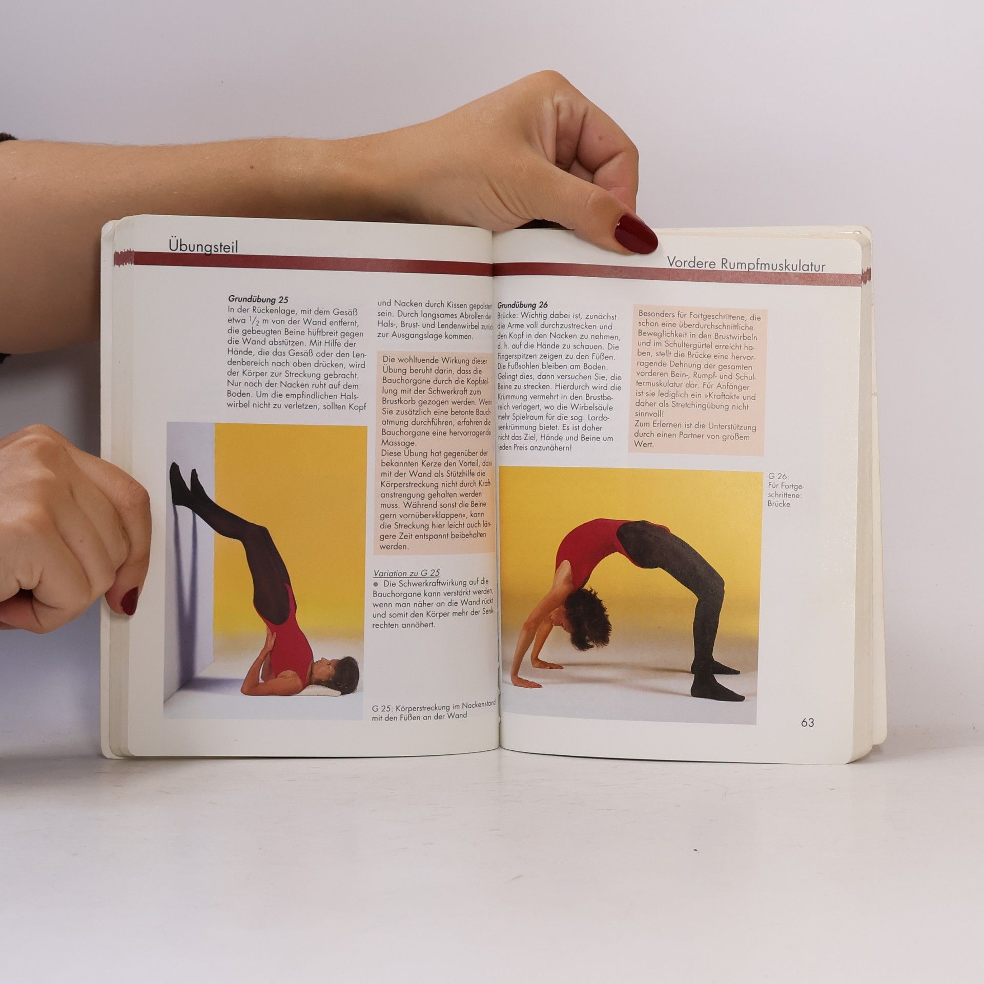 Dagmar Sternad Richtig Stretching