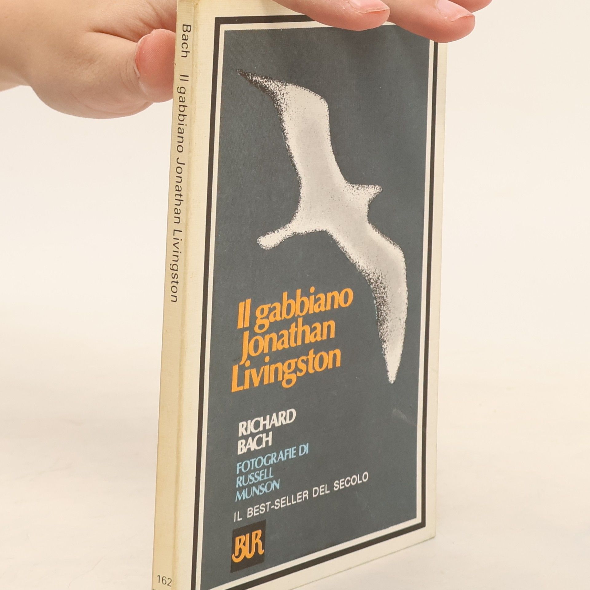 Richard Bach Il gabbiano Jonathan Livingston