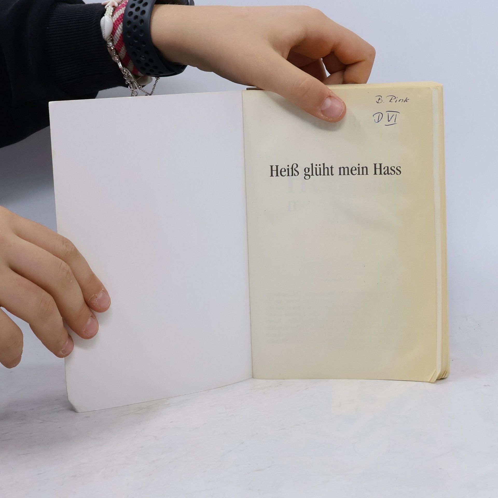 Karen Rose Heiß glüht mein Hass