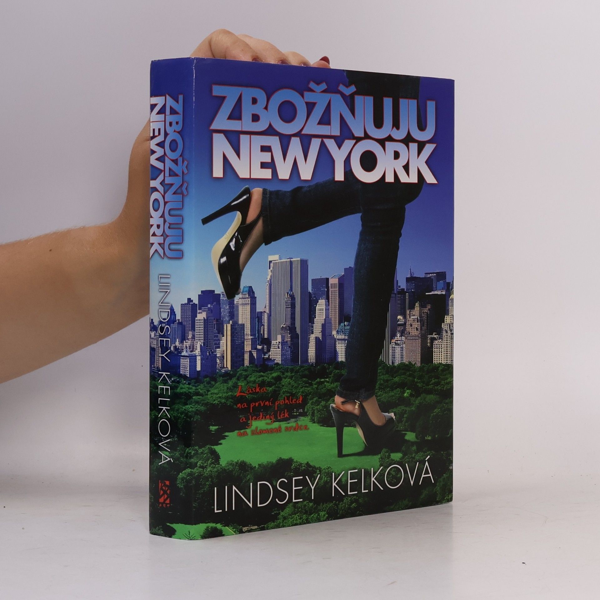Lindsey Kelk Zbožňuju New York
