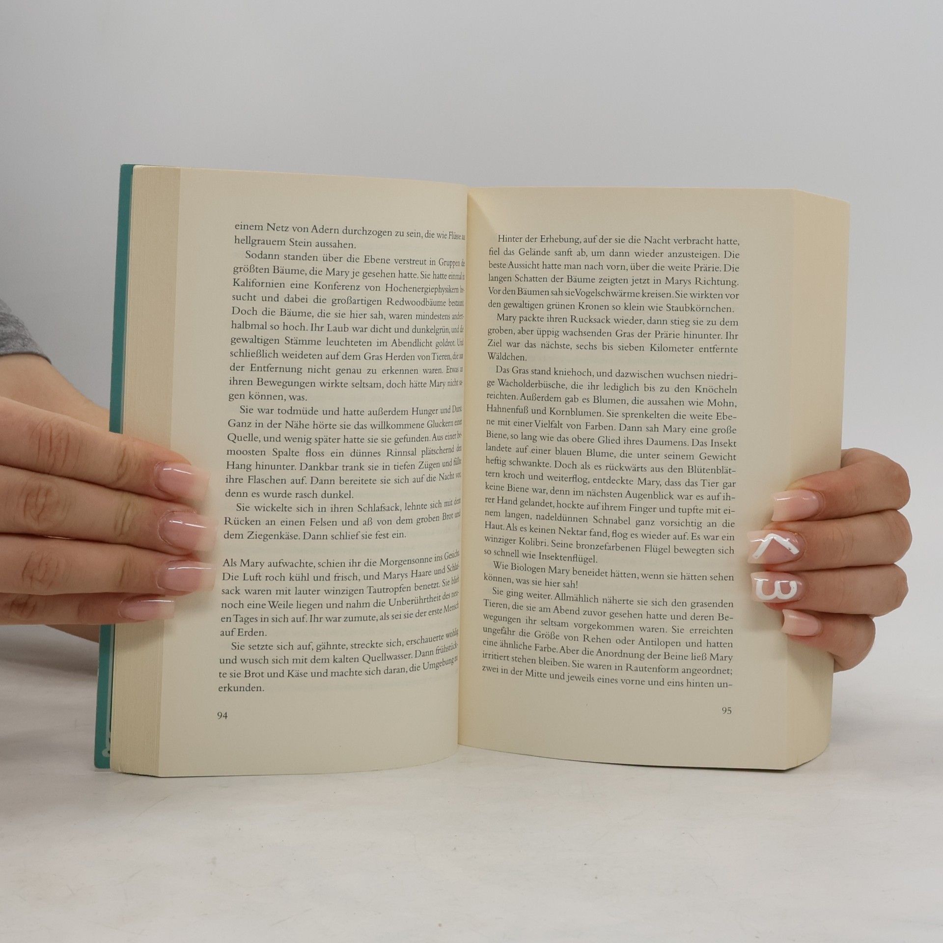 Philip Pullman Das Bernstein-Teleskop