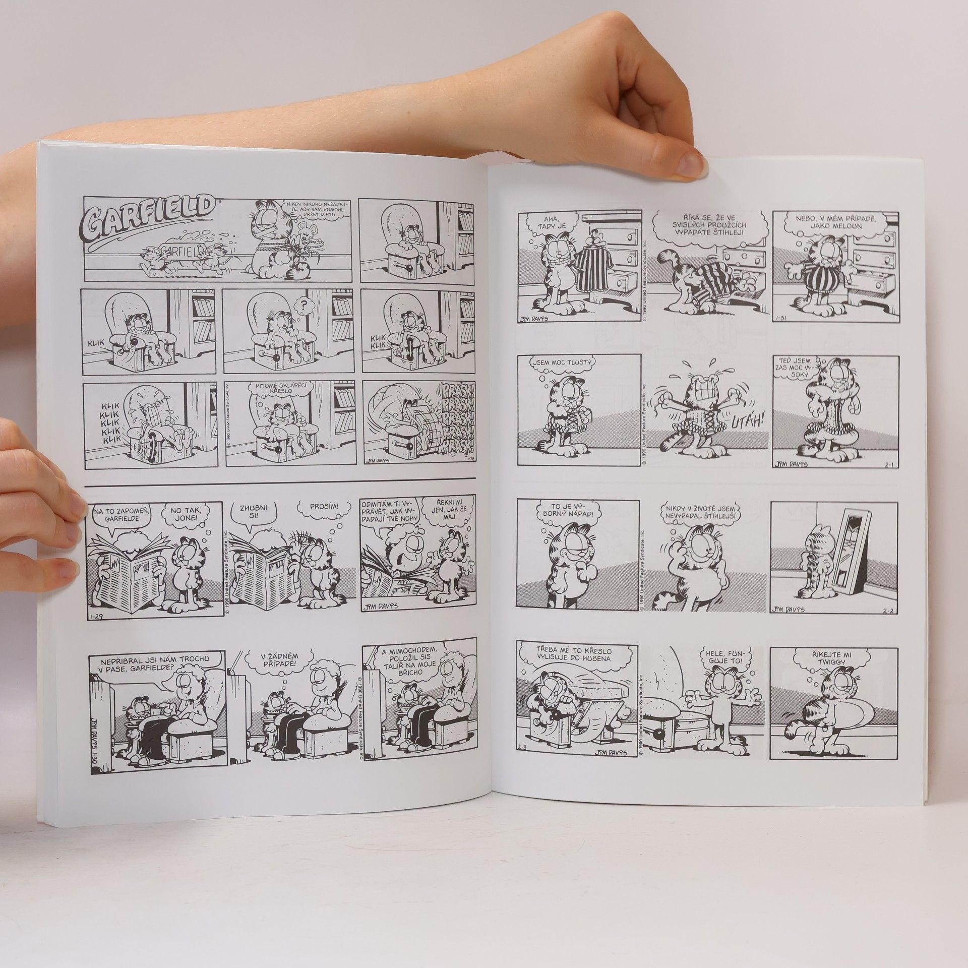 Jim Davis Garfield místo na slunci
