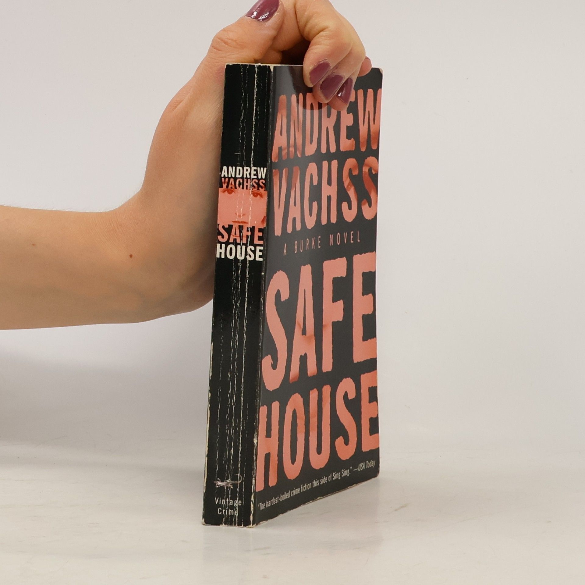 Andrew Vachss Safe House