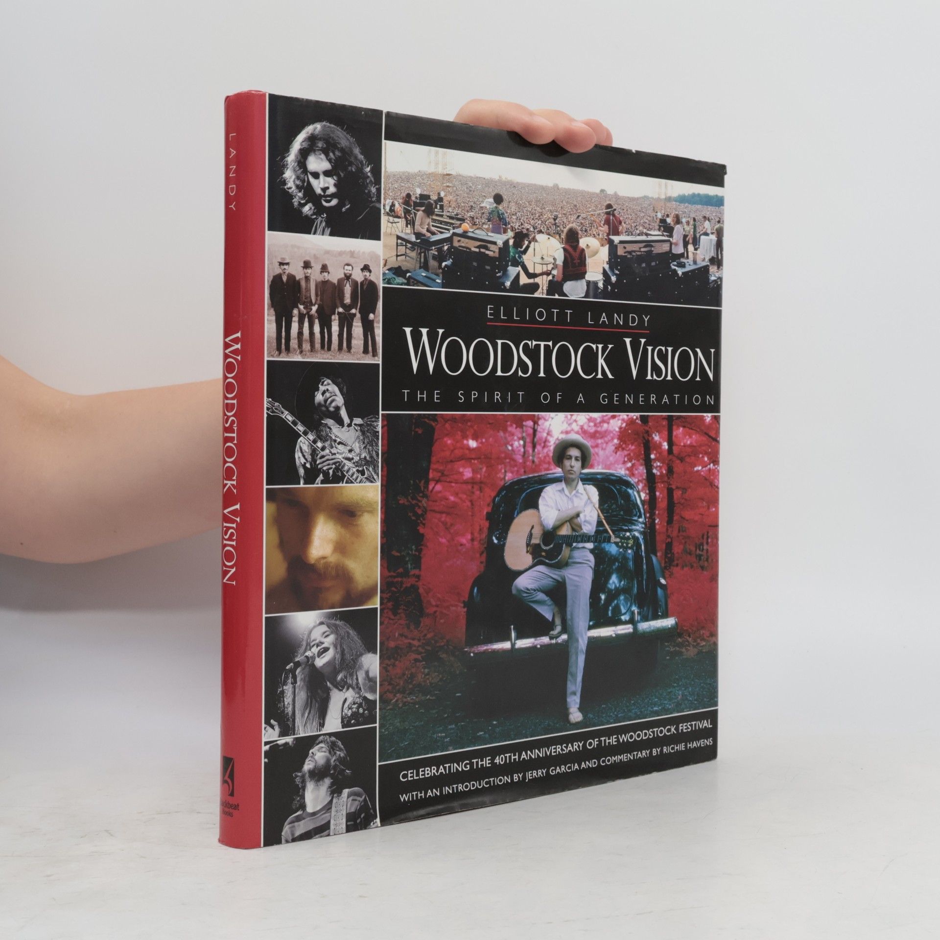 Jerry Garcia Woodstock Vision