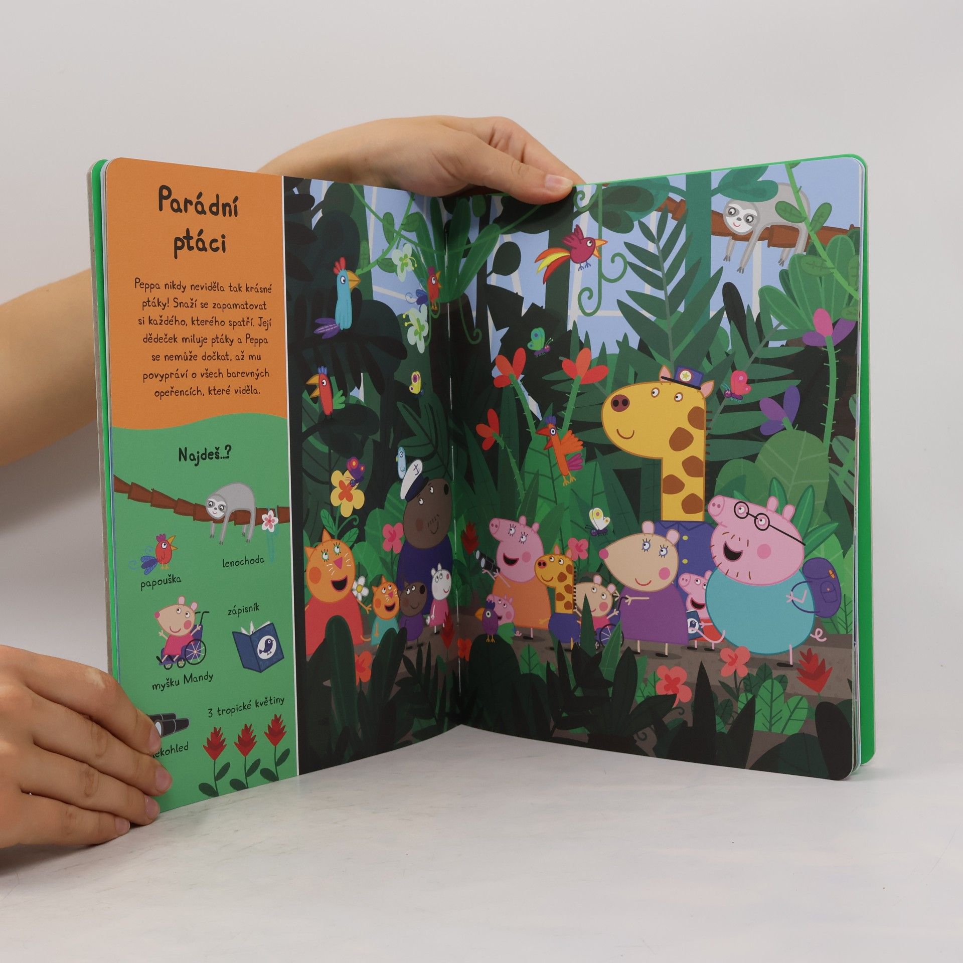 Various authors Peppa Pig - Peppa v zoo