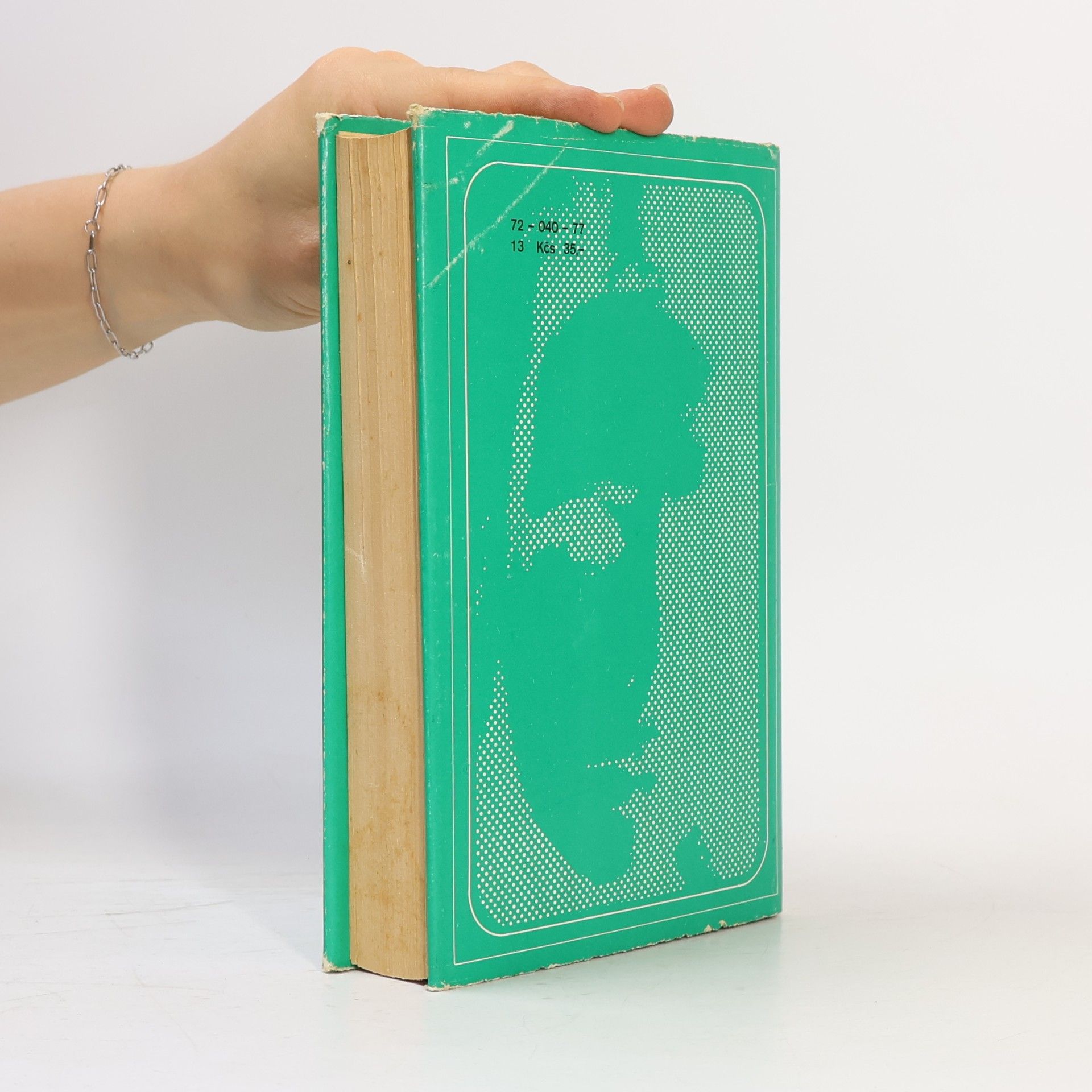 Franco Lucentini Žena na nedeľu