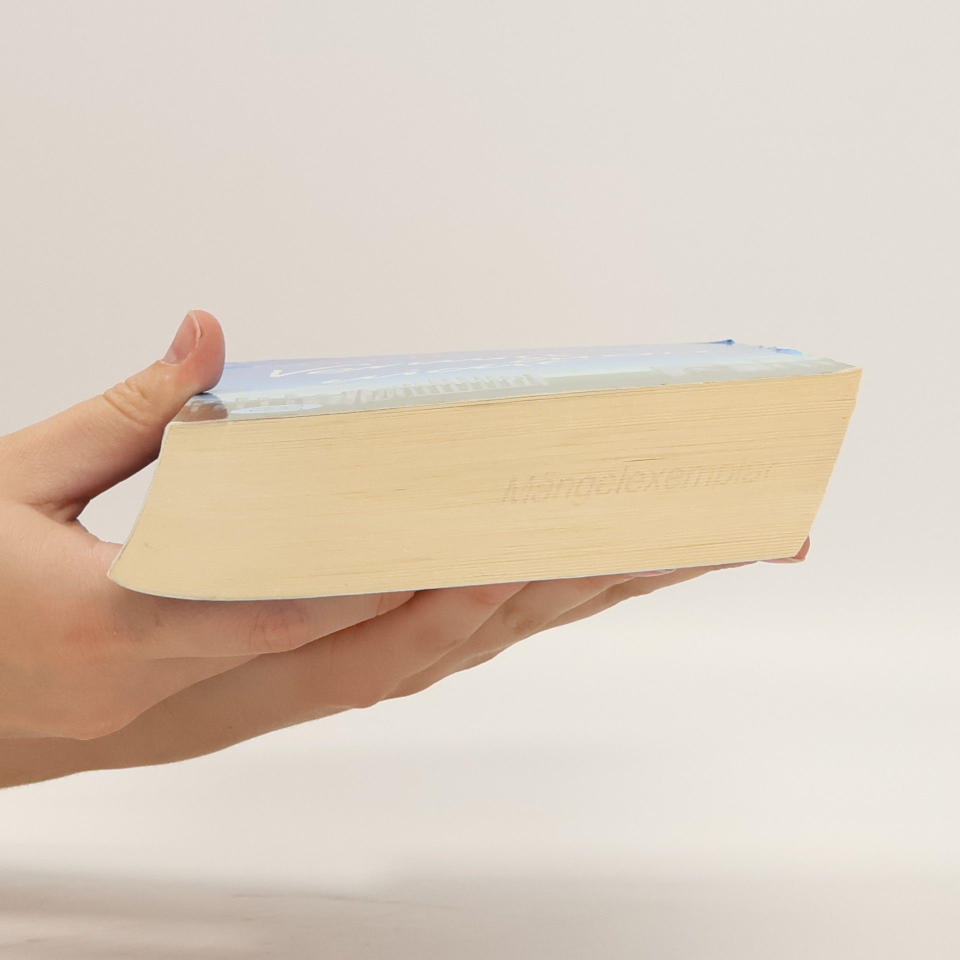 Cecelia Ahern Vermiss mein nicht