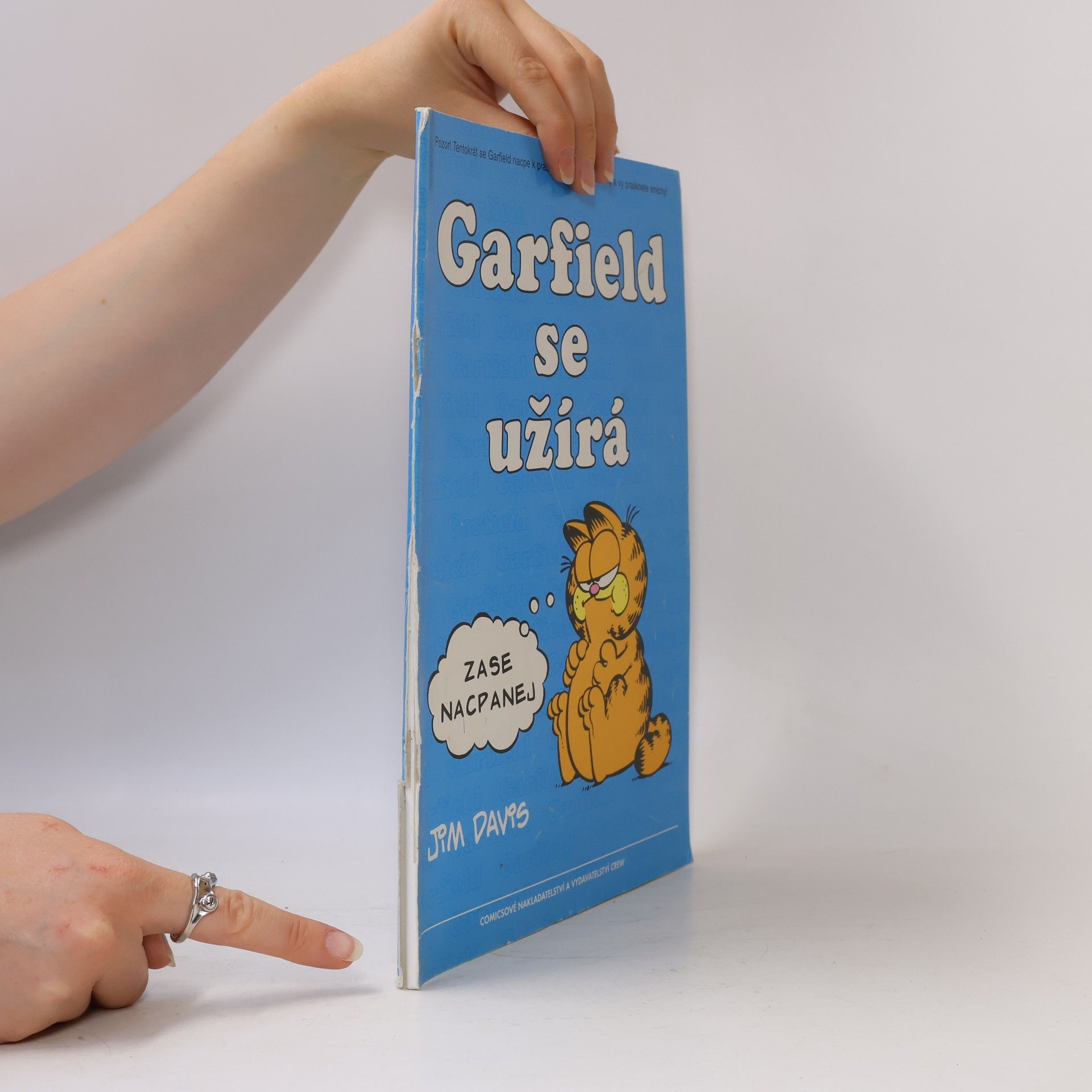 Jim Davis Garfield se užírá