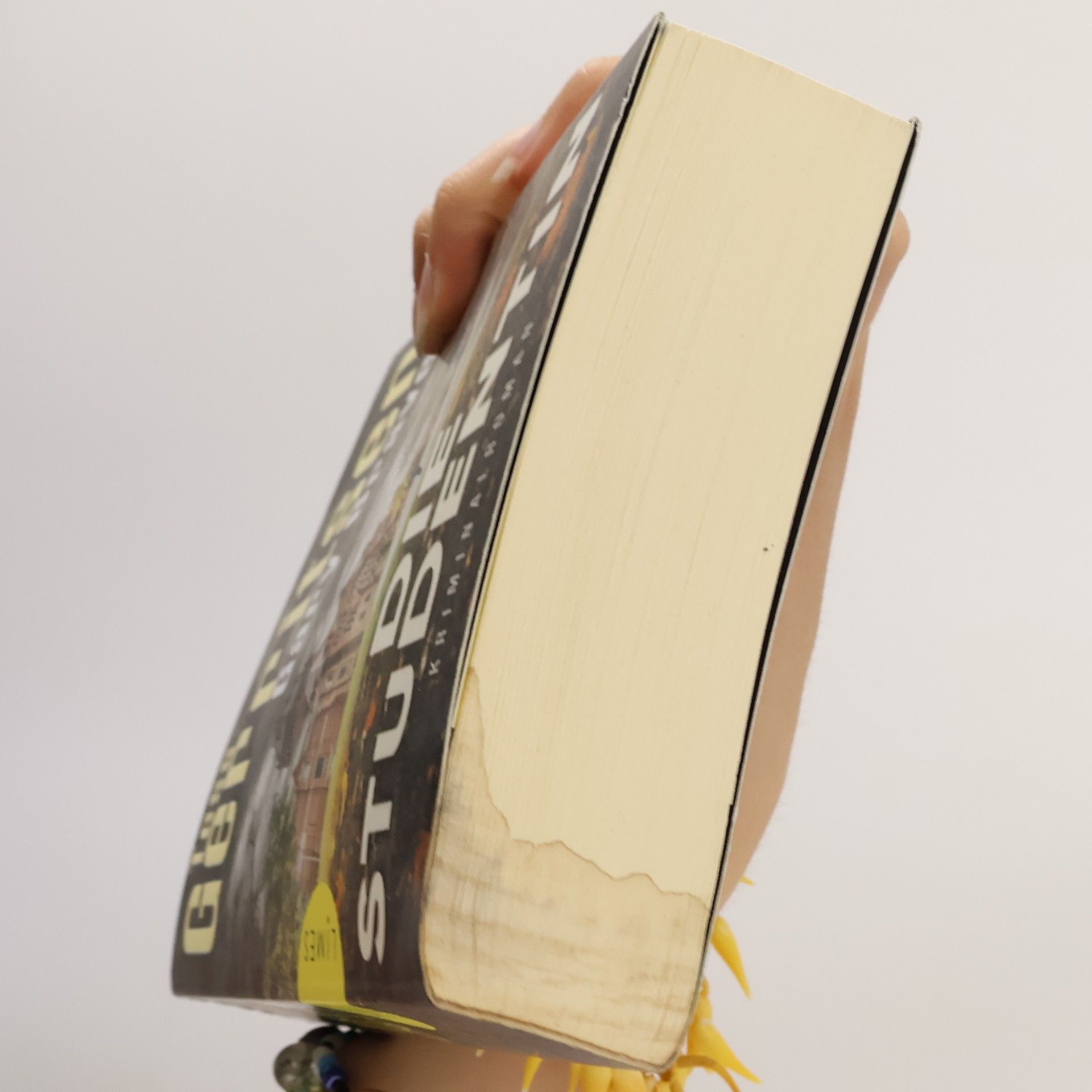 Tess Gerritsen Die Studentin