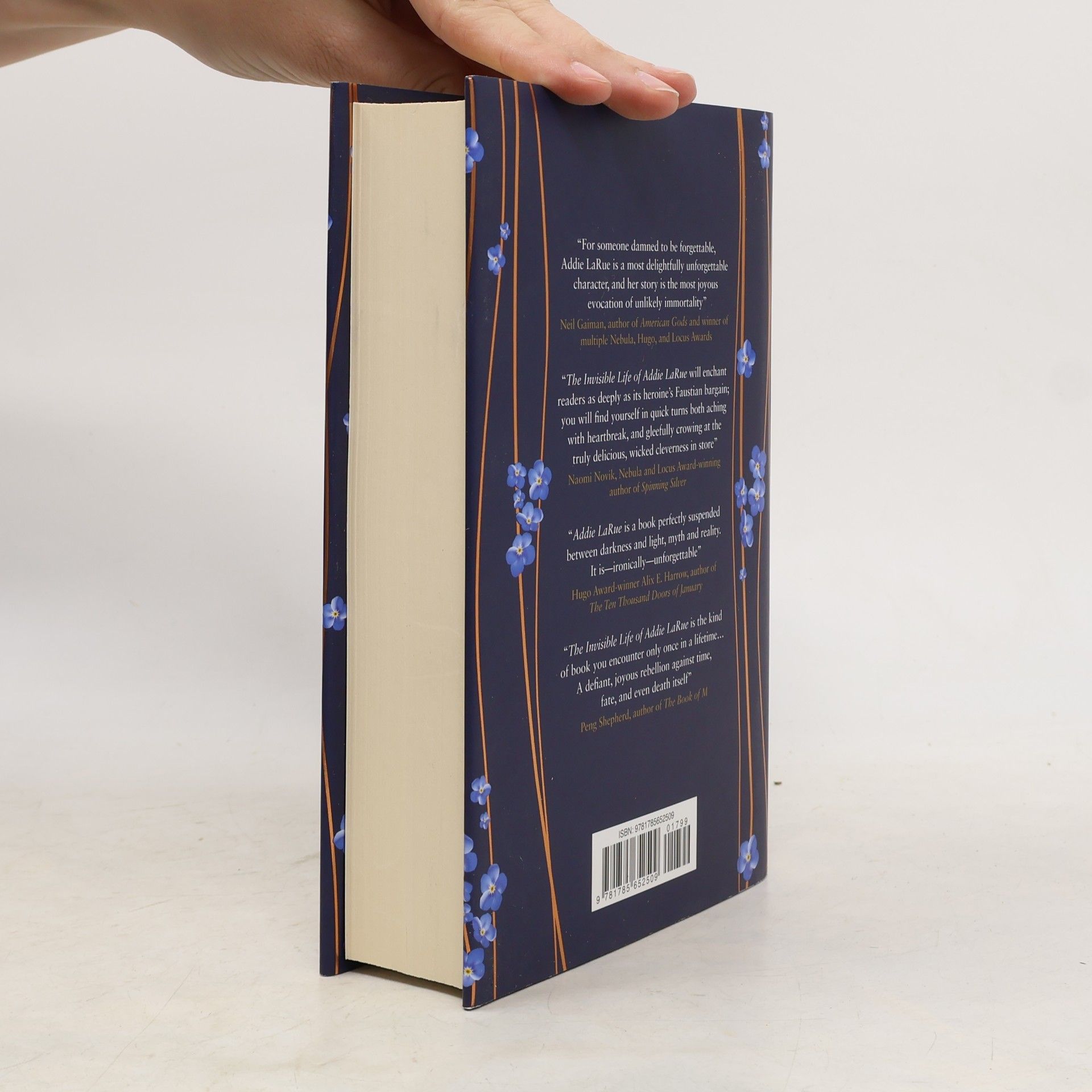 Victoria Schwabová The Invisible Life of Addie LaRue