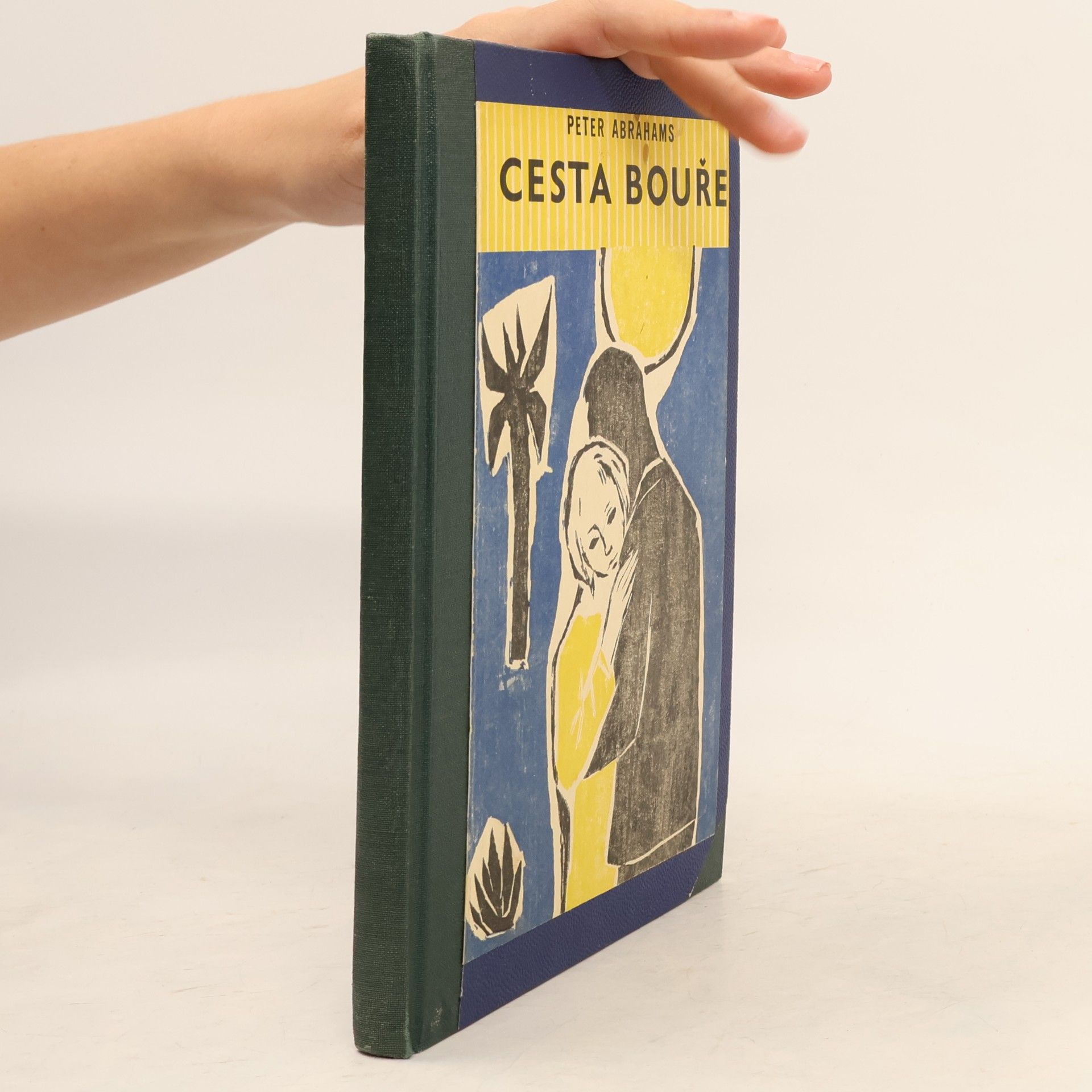 Peter Abrahams Cesta bouře