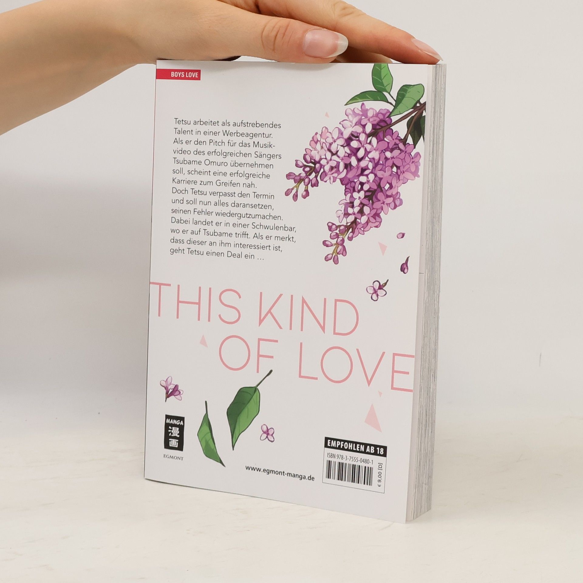Hasami Sahara Manga: This Kind of Love