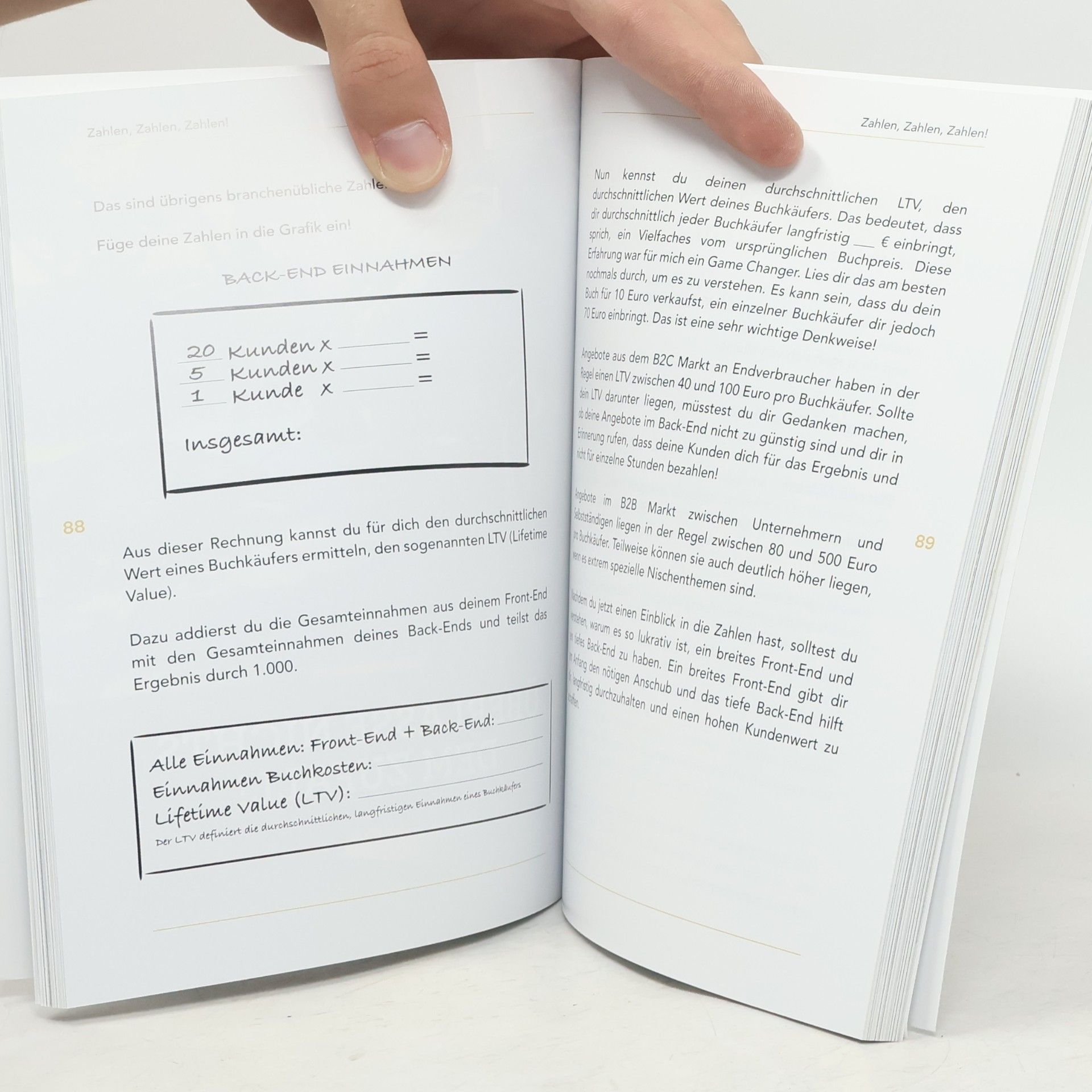 Ricardo D. Biron Millionen mit einem Buch