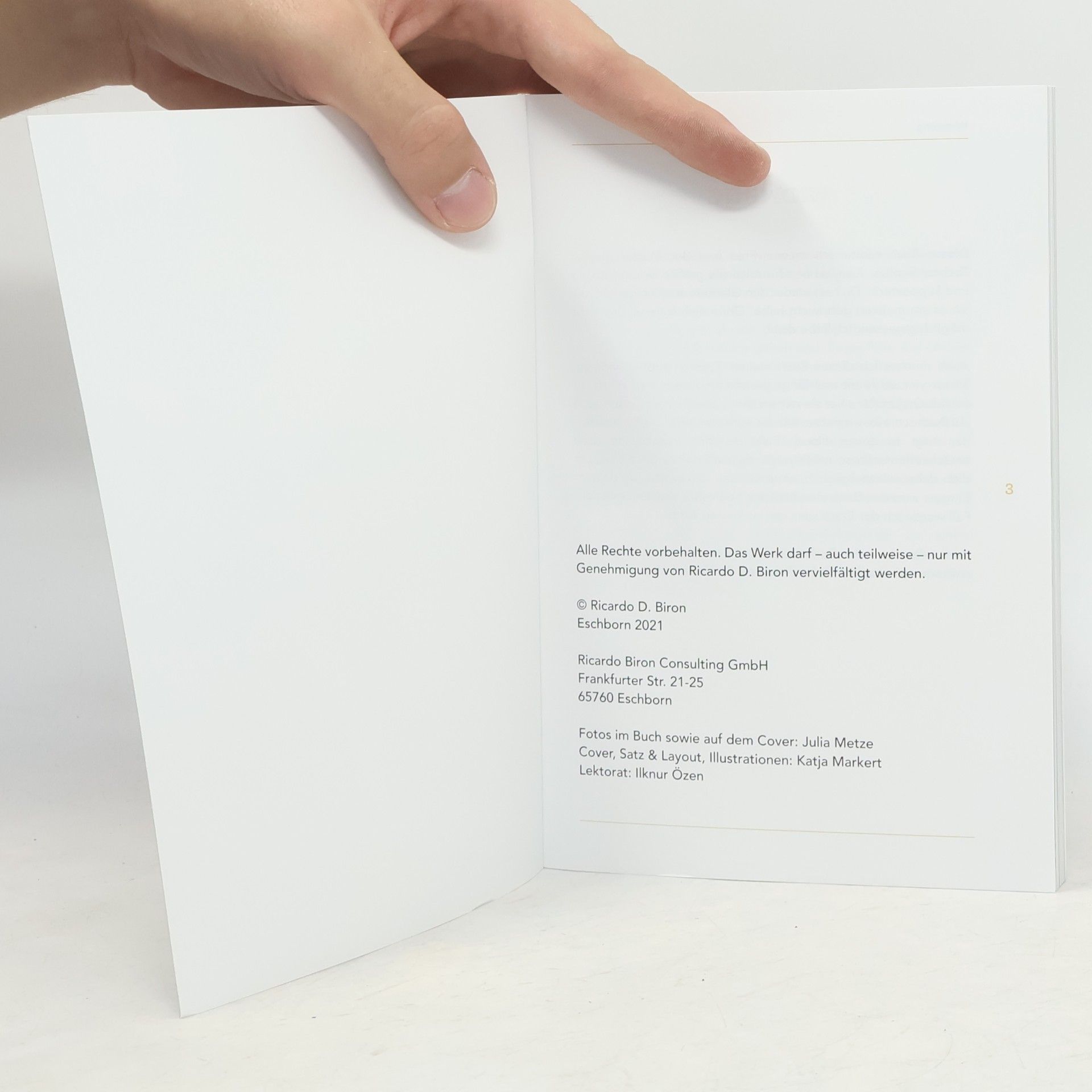 Ricardo D. Biron Millionen mit einem Buch