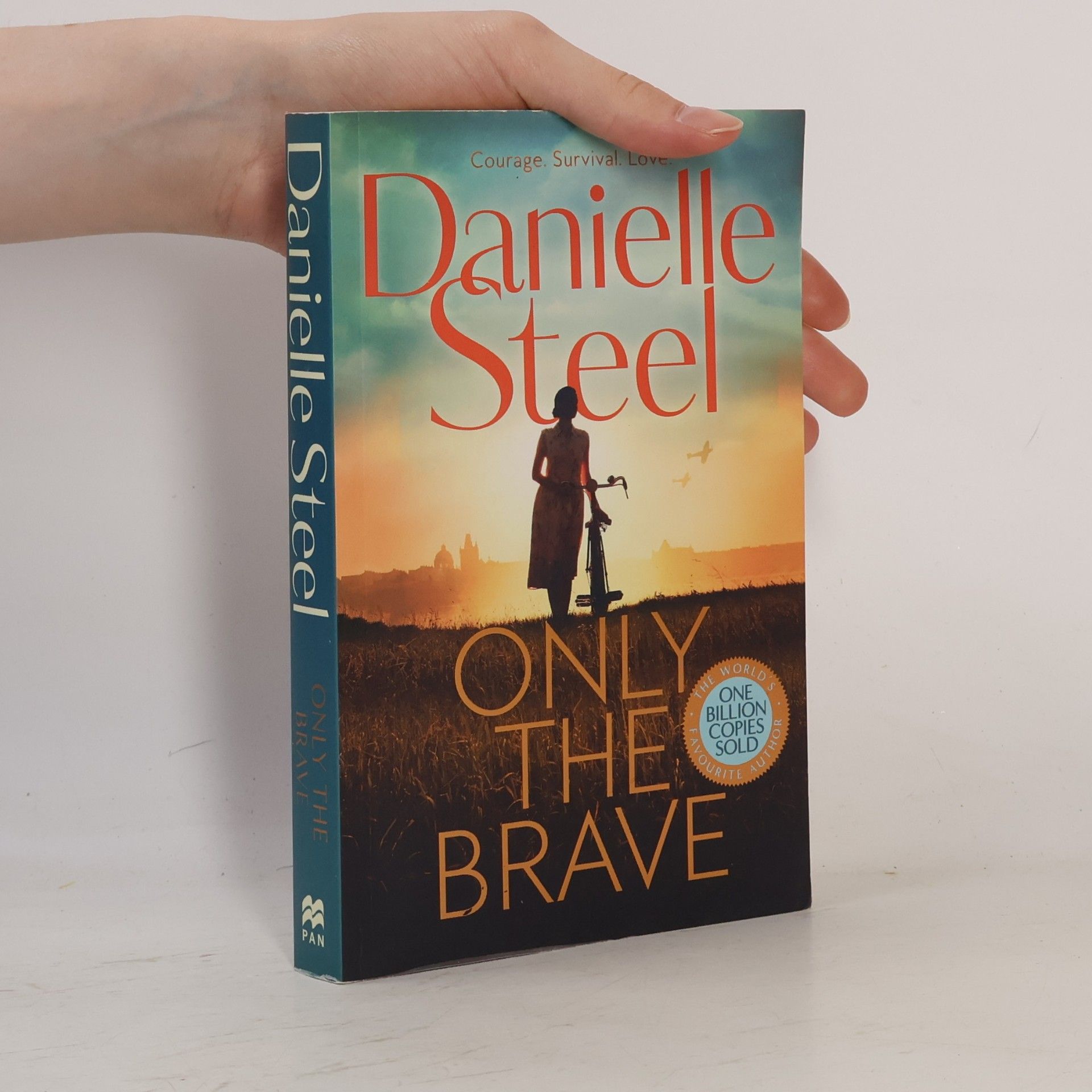 Danielle Steel Only the Brave