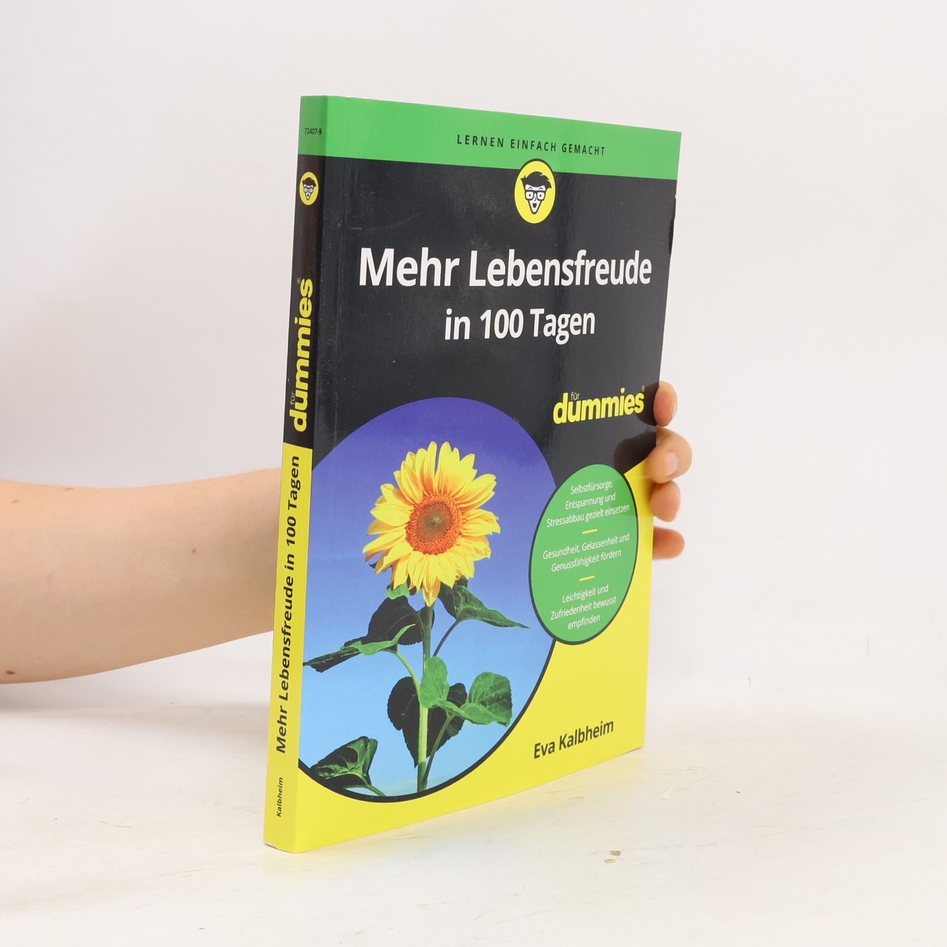 Eva Kalbheim Mehr Lebensfreude in 100 Tagen für Dummies