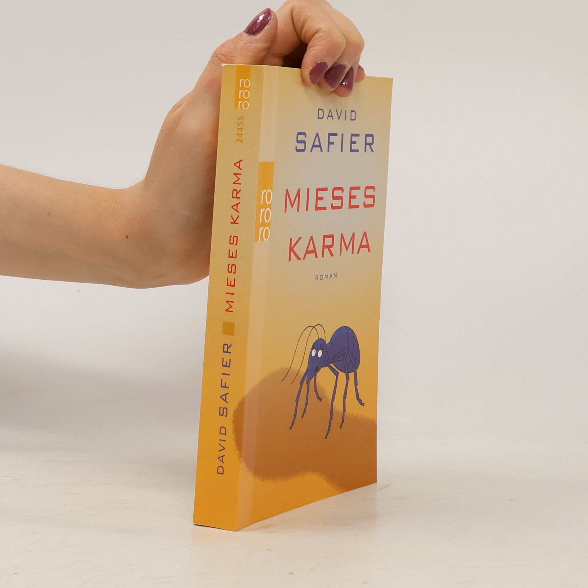 David Safier Mieses Karma