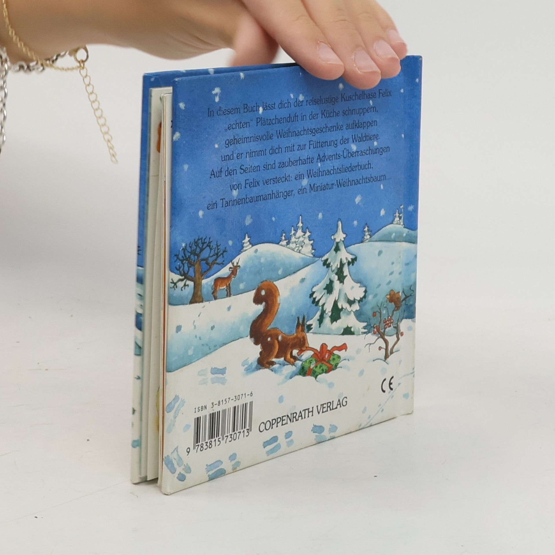 Annette Langen Adventspost von Felix