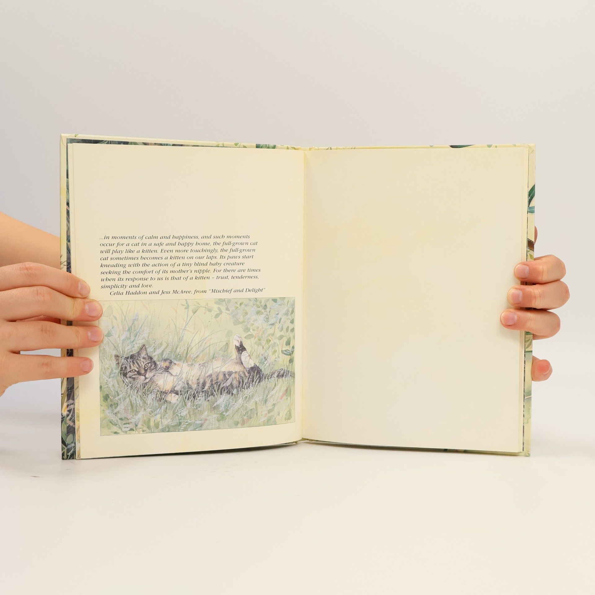 Juliette Clarke An Illustrated Cat Lover's Notebook