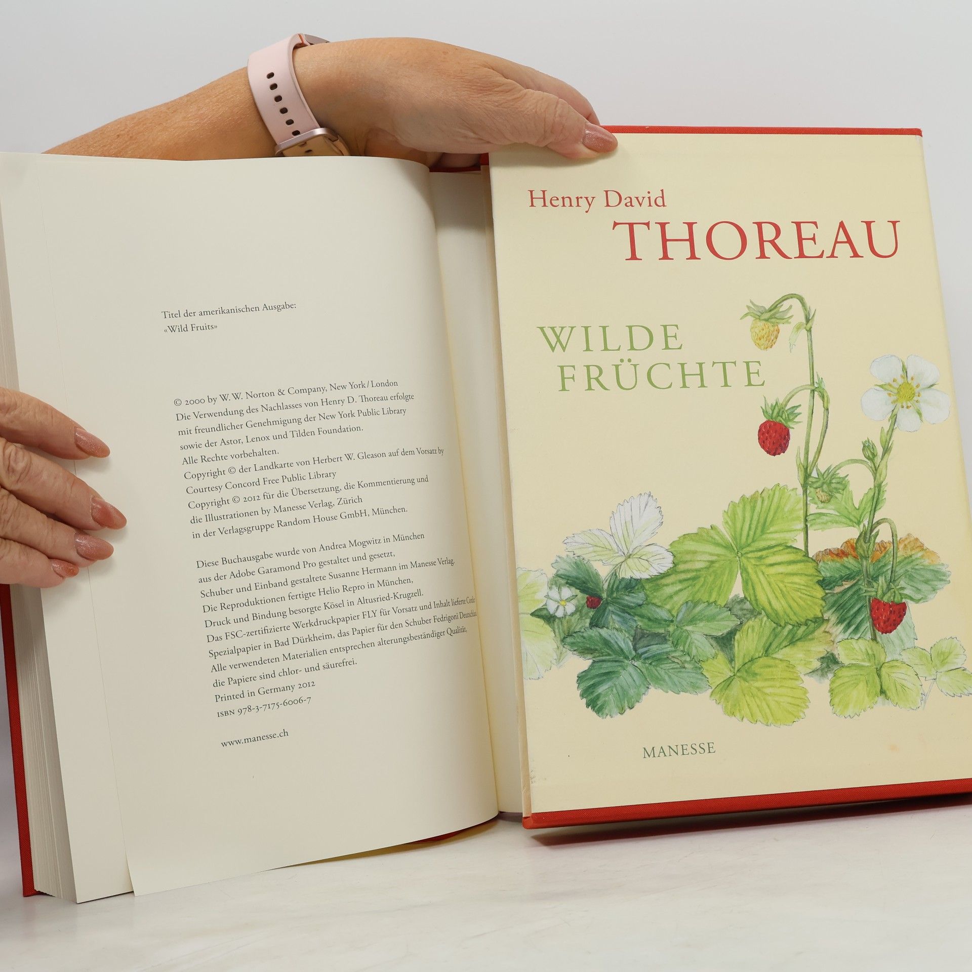 Henry David Thoreau Wilde Früchte