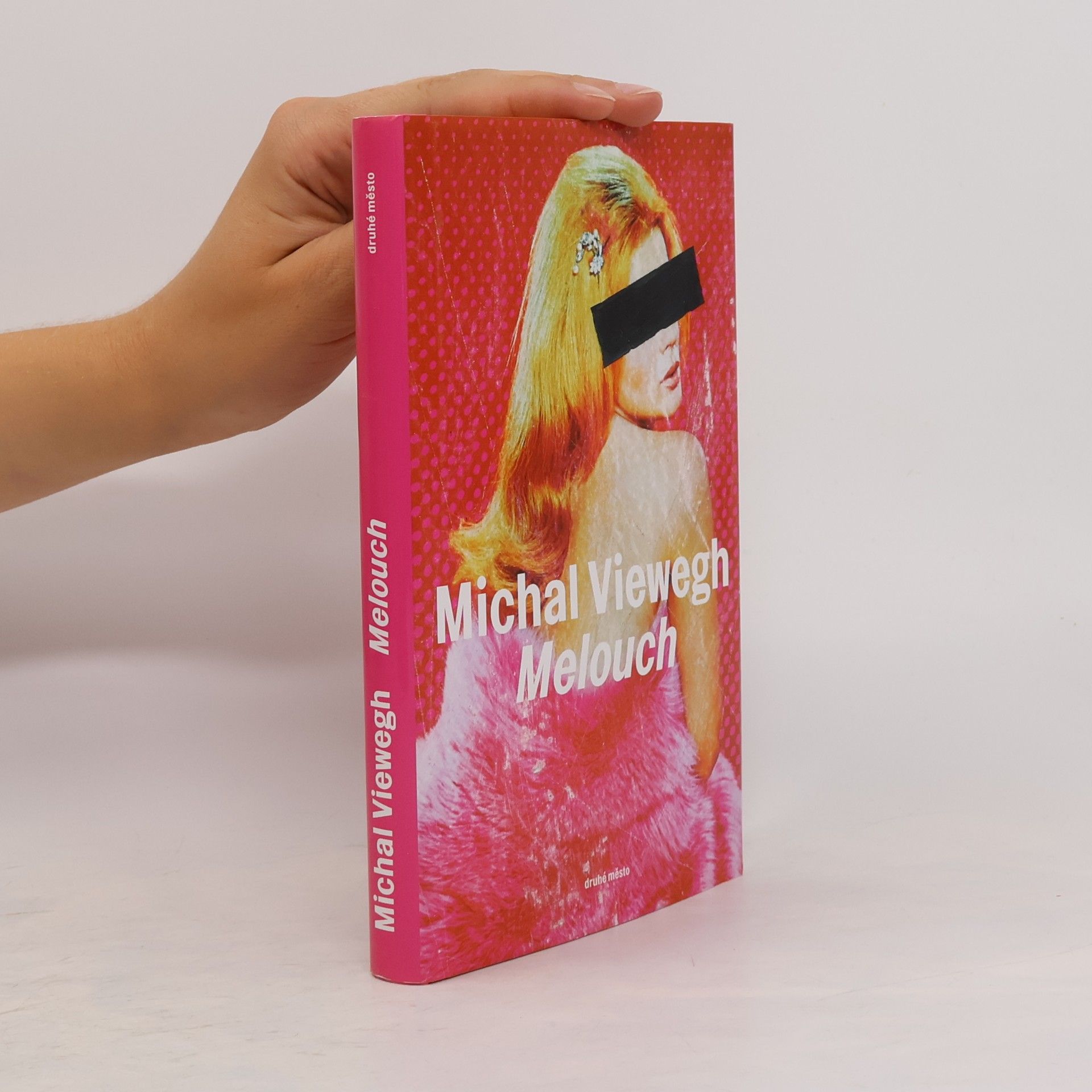 Michal Viewegh Melouch