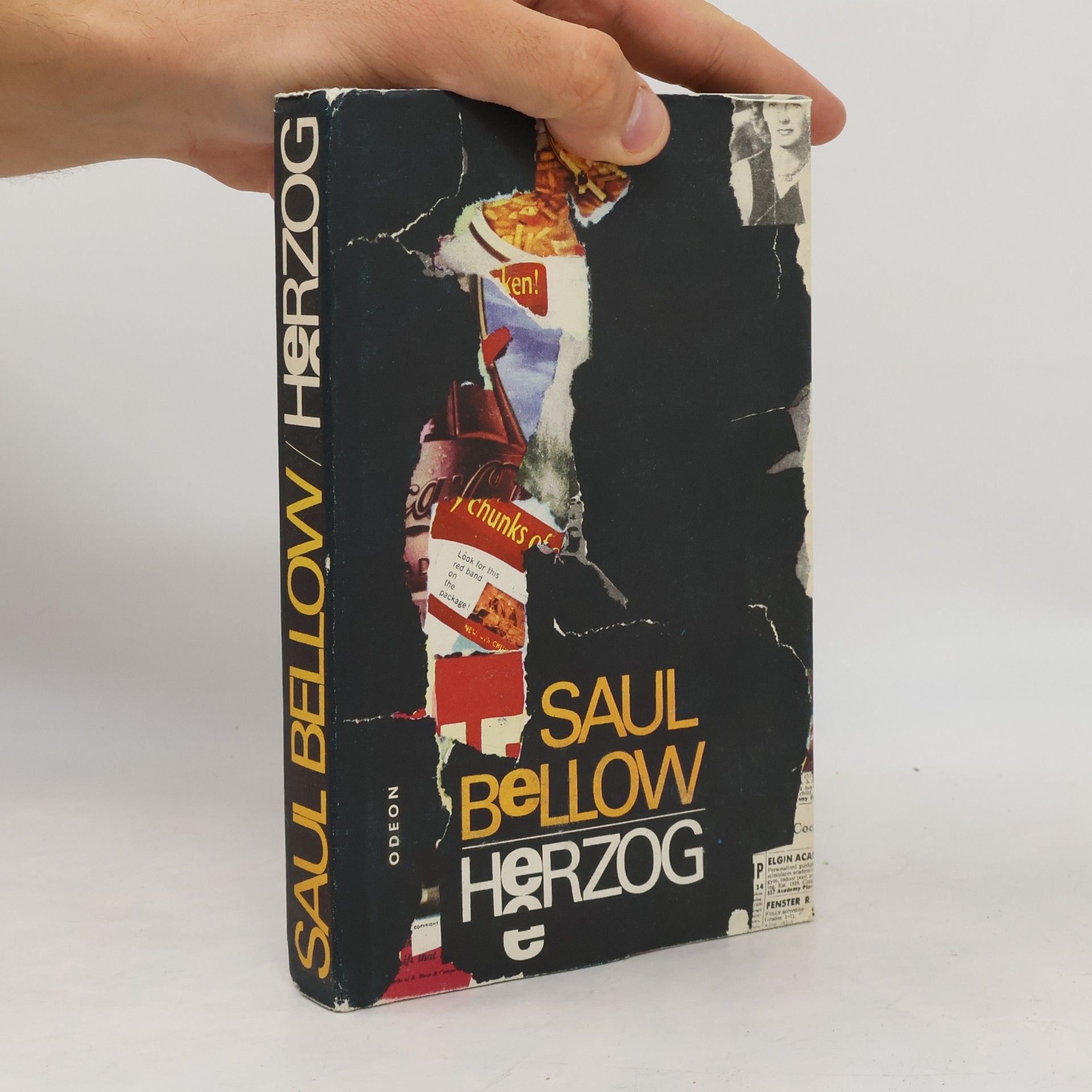 Saul Bellow Herzog