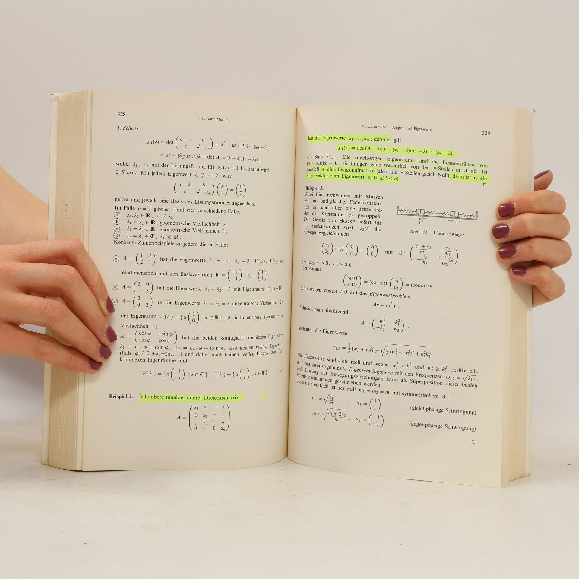 Kurt Meyberg Höhere Mathematik 1