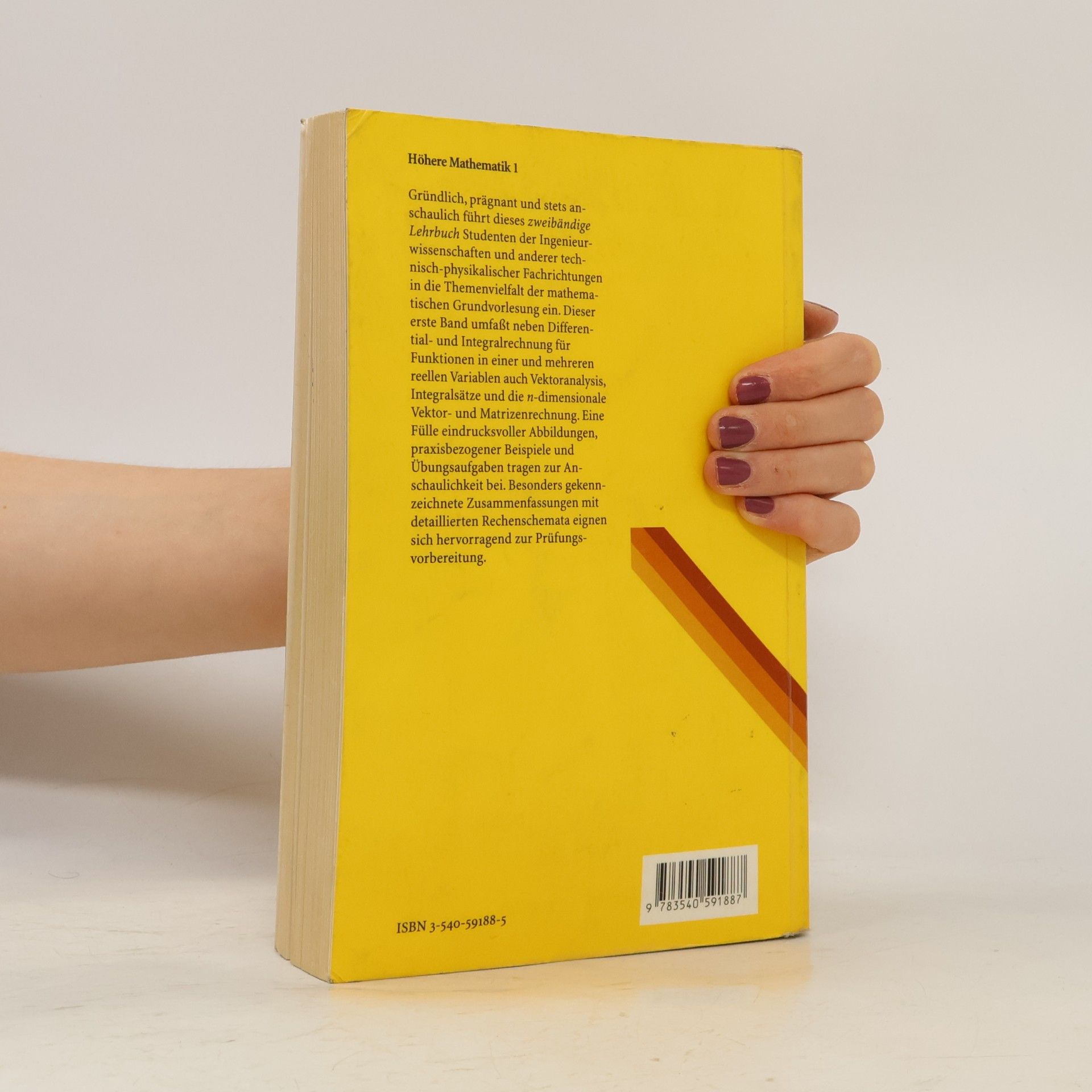 Kurt Meyberg Höhere Mathematik 1