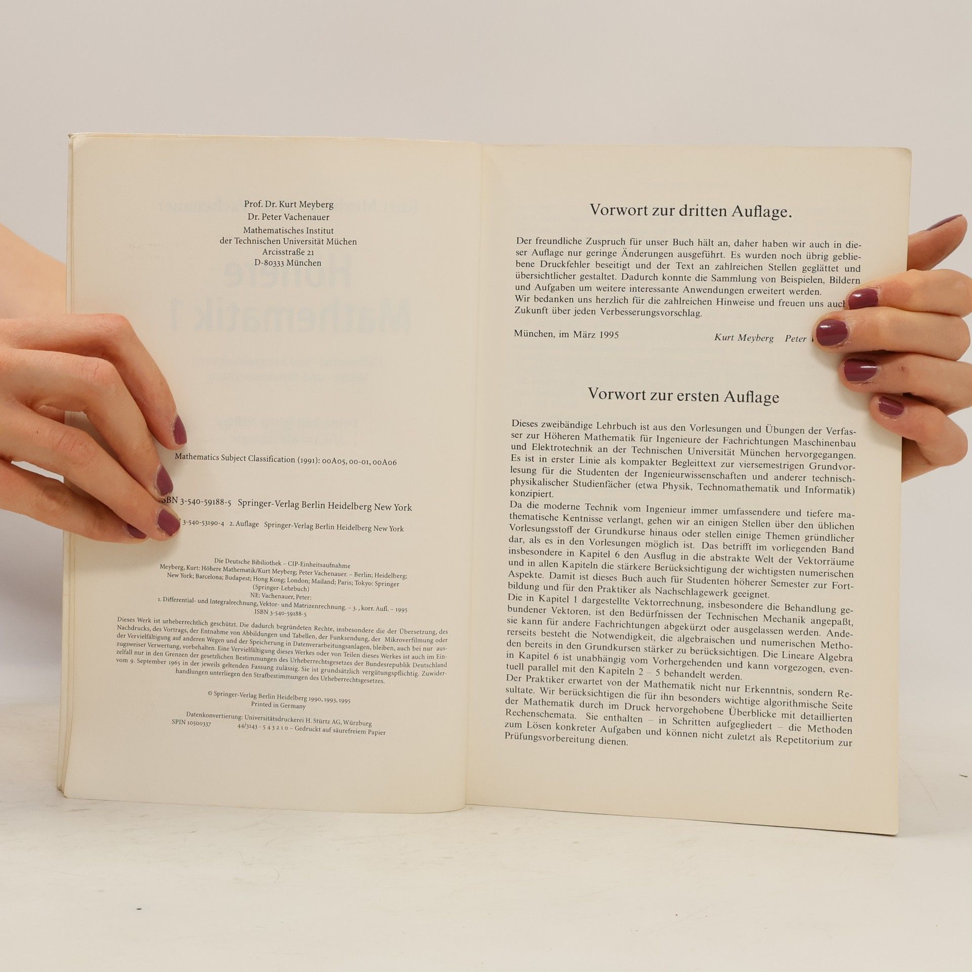Kurt Meyberg Höhere Mathematik 1