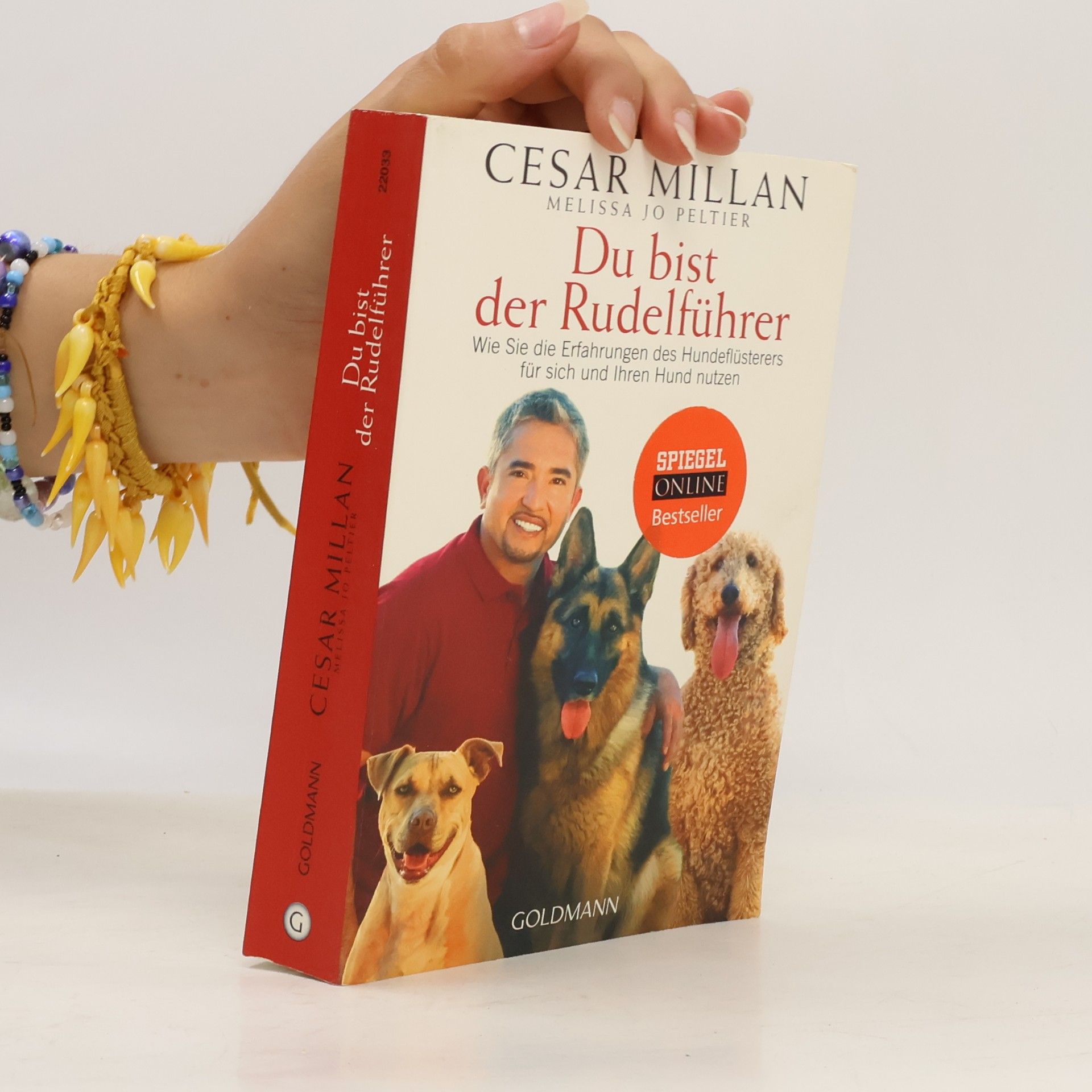 Cesar Millan Du bist der Rudelführer