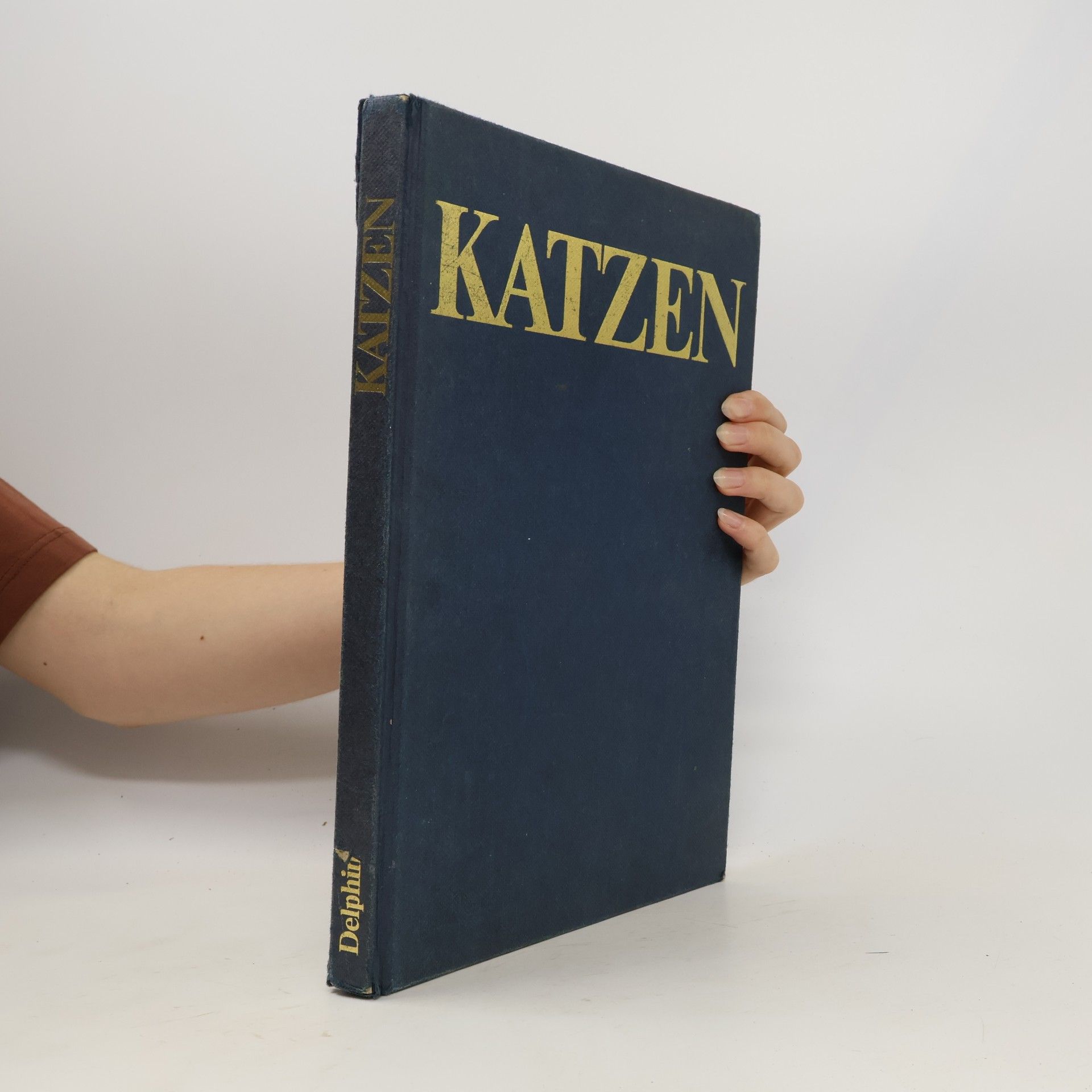 Grace Pond Katzen