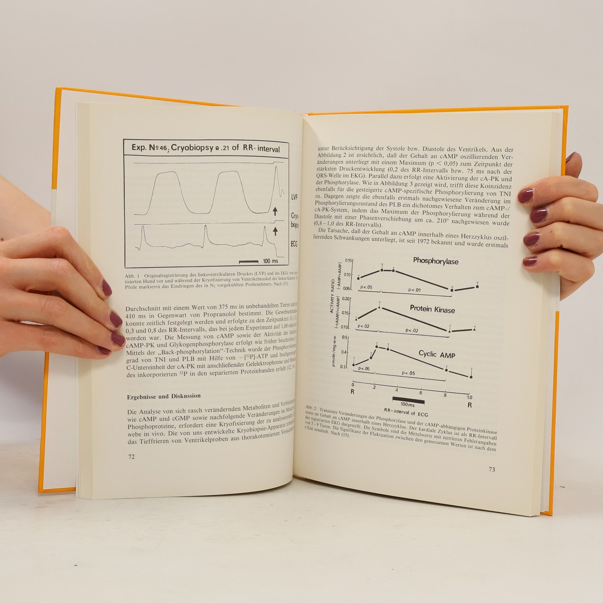 Detlev Ganten Zelluläre Mechanismen der Herz-Kreislaufregulation