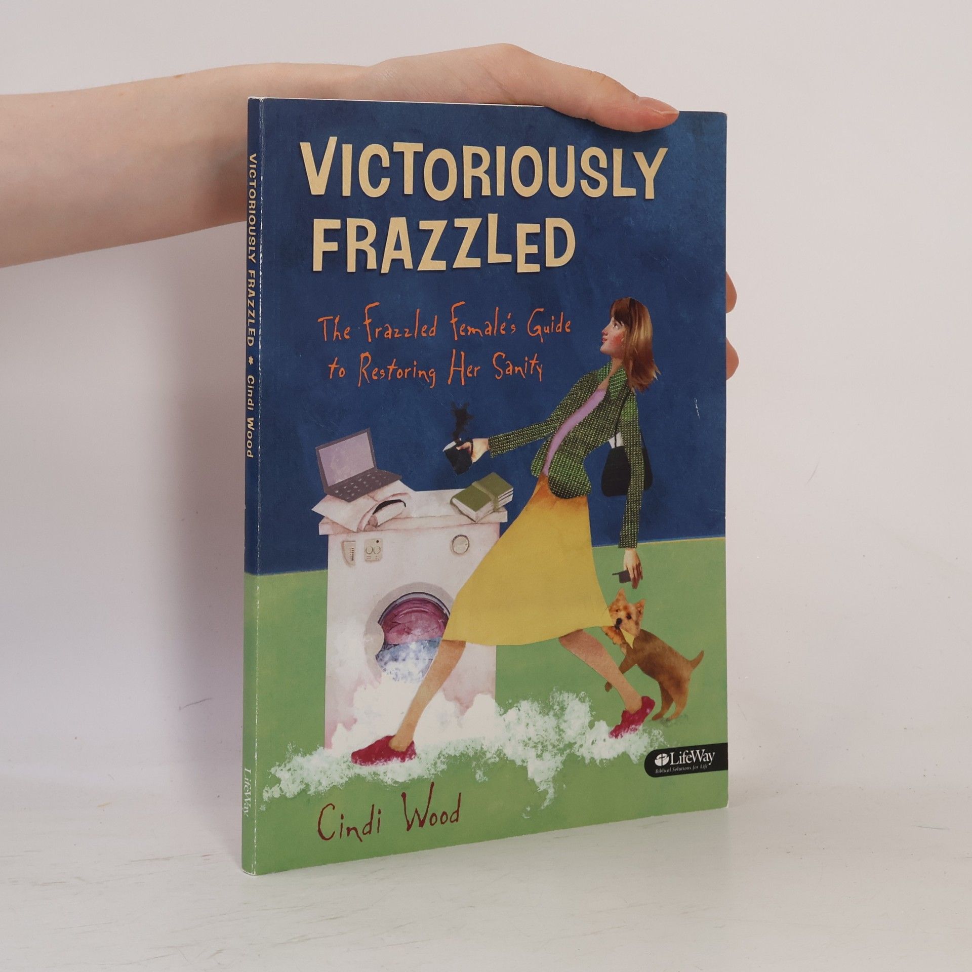 Cindi Wood Victoriously Frazzled Bible Study