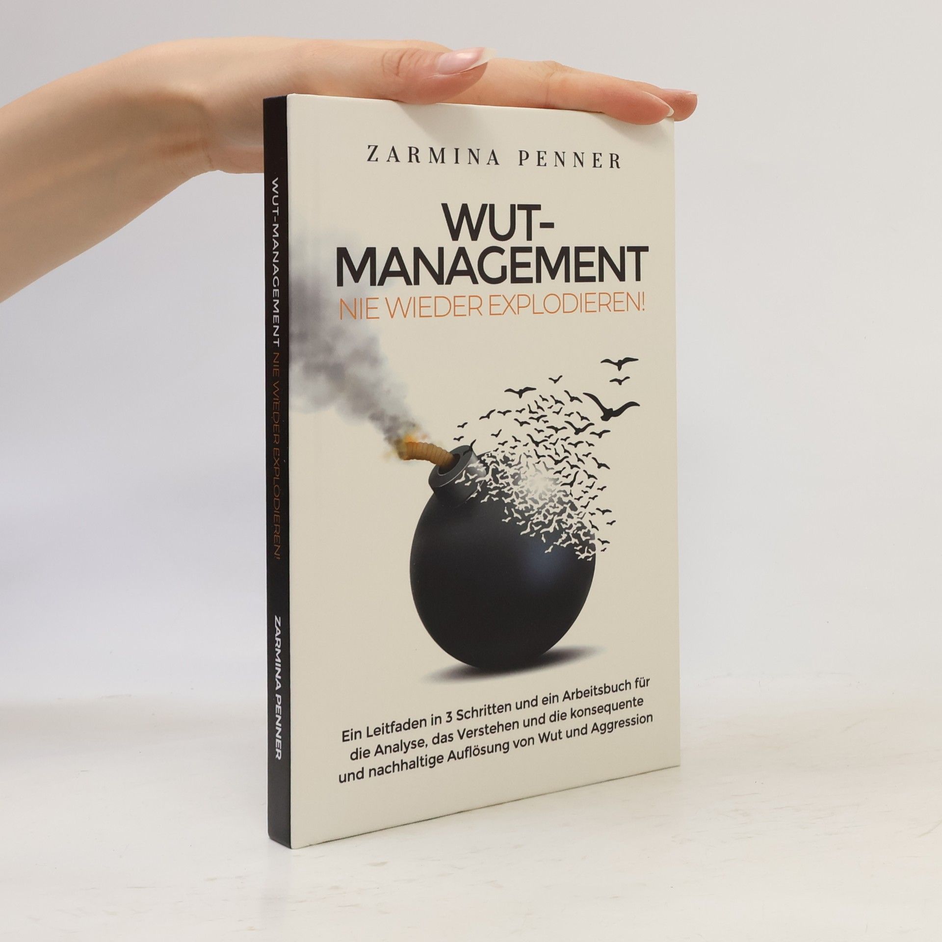 Zarmina Penner Wut-Management - Nie wieder explodieren!