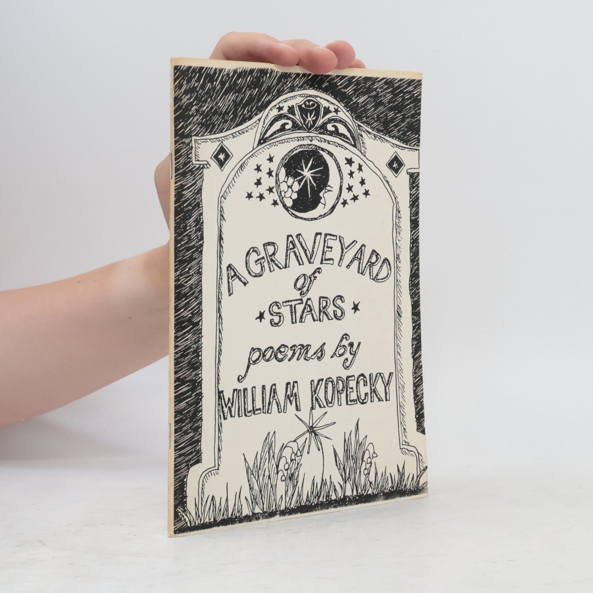 Leah Korn A Graveyard of Stars