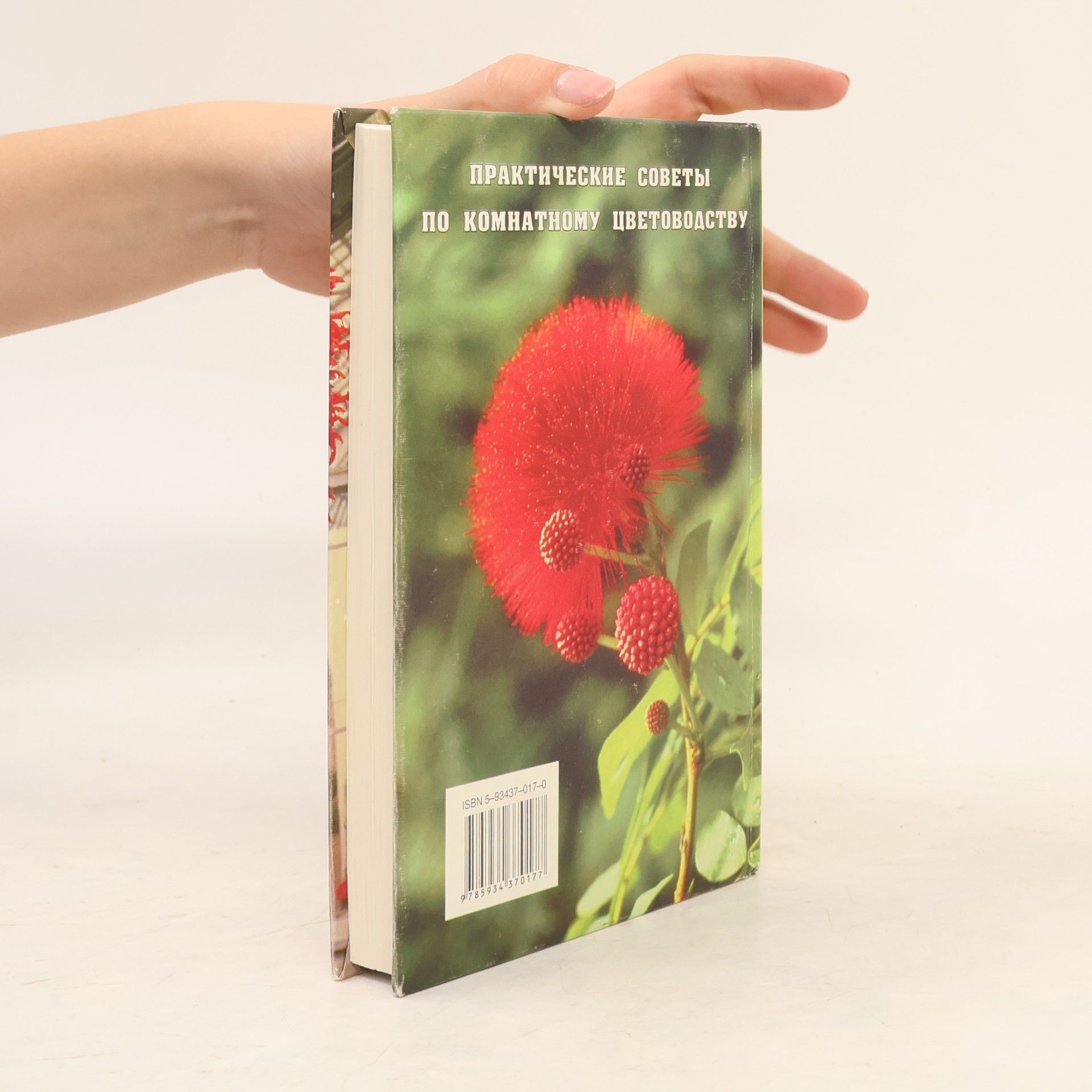Collectif d'auteurs Цветы в вашем доме