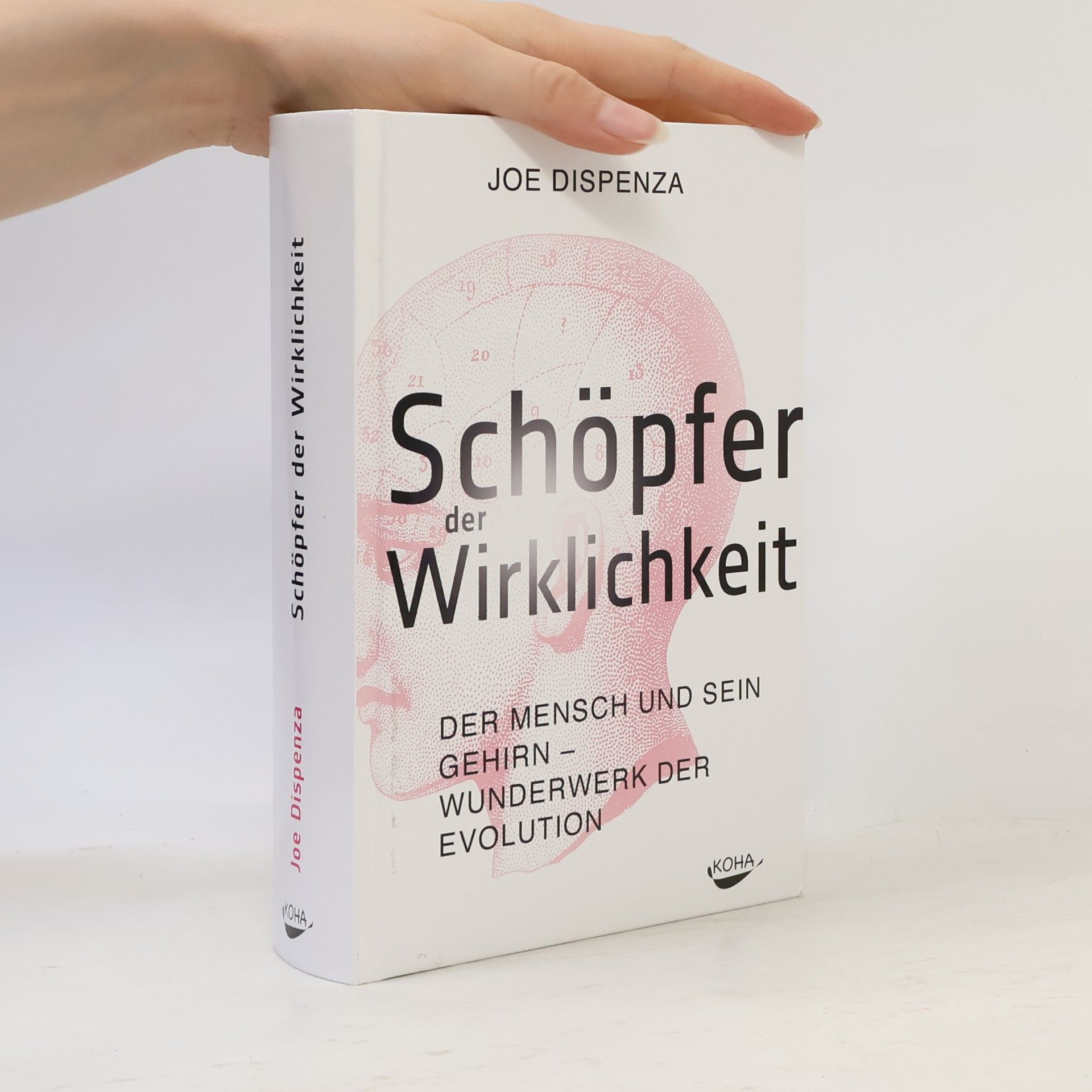 Joe Dispenza Schöpfer der Wirklichkeit